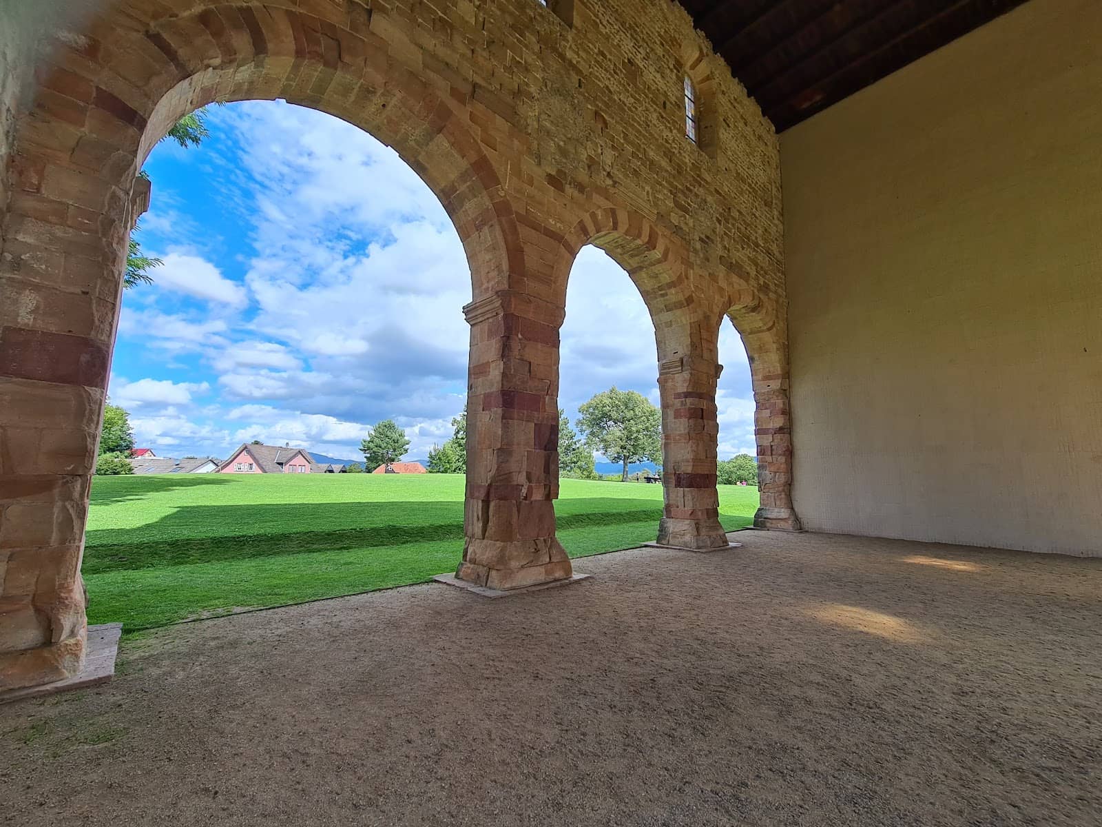 Shaded Forest Trails