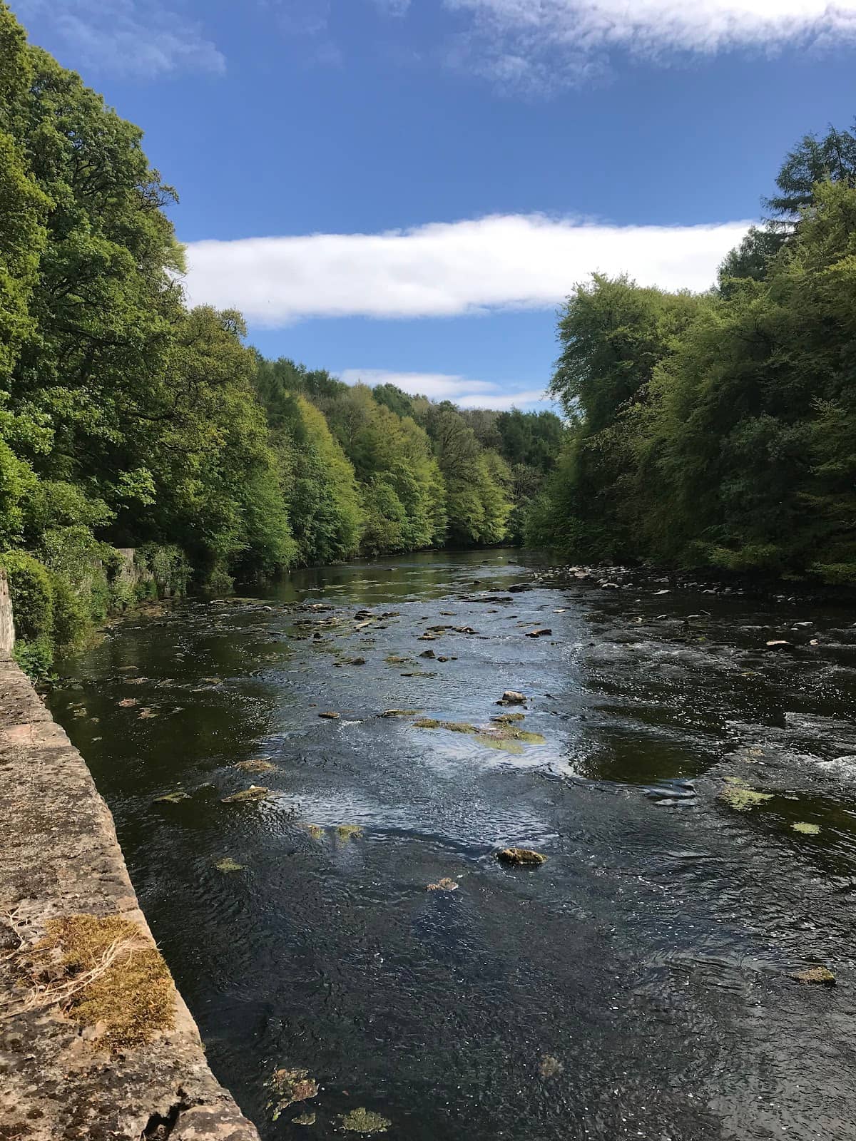 Woodland and Riverside Trails