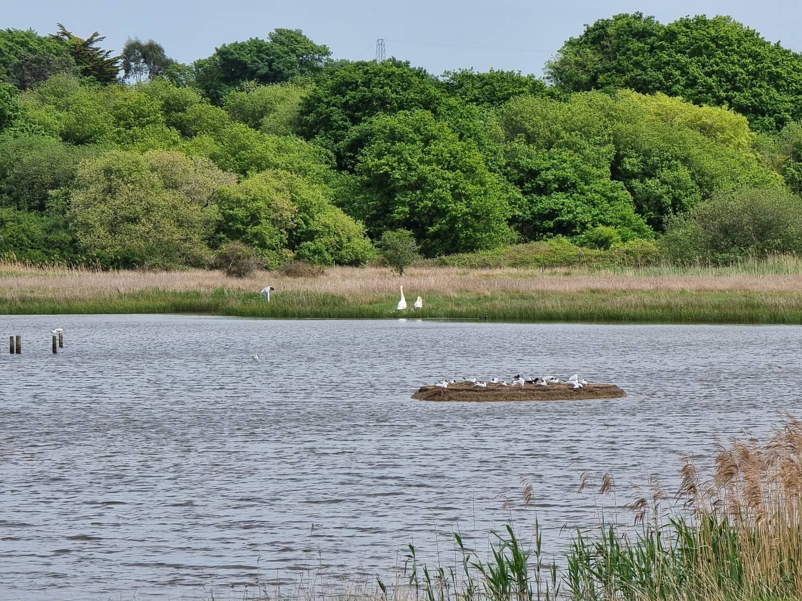 Warsash Beach Access
