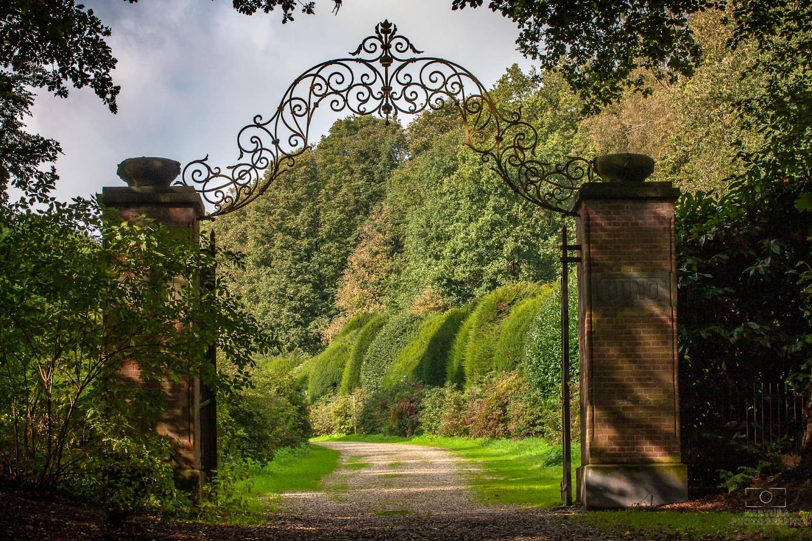 Wooded Walking Paths