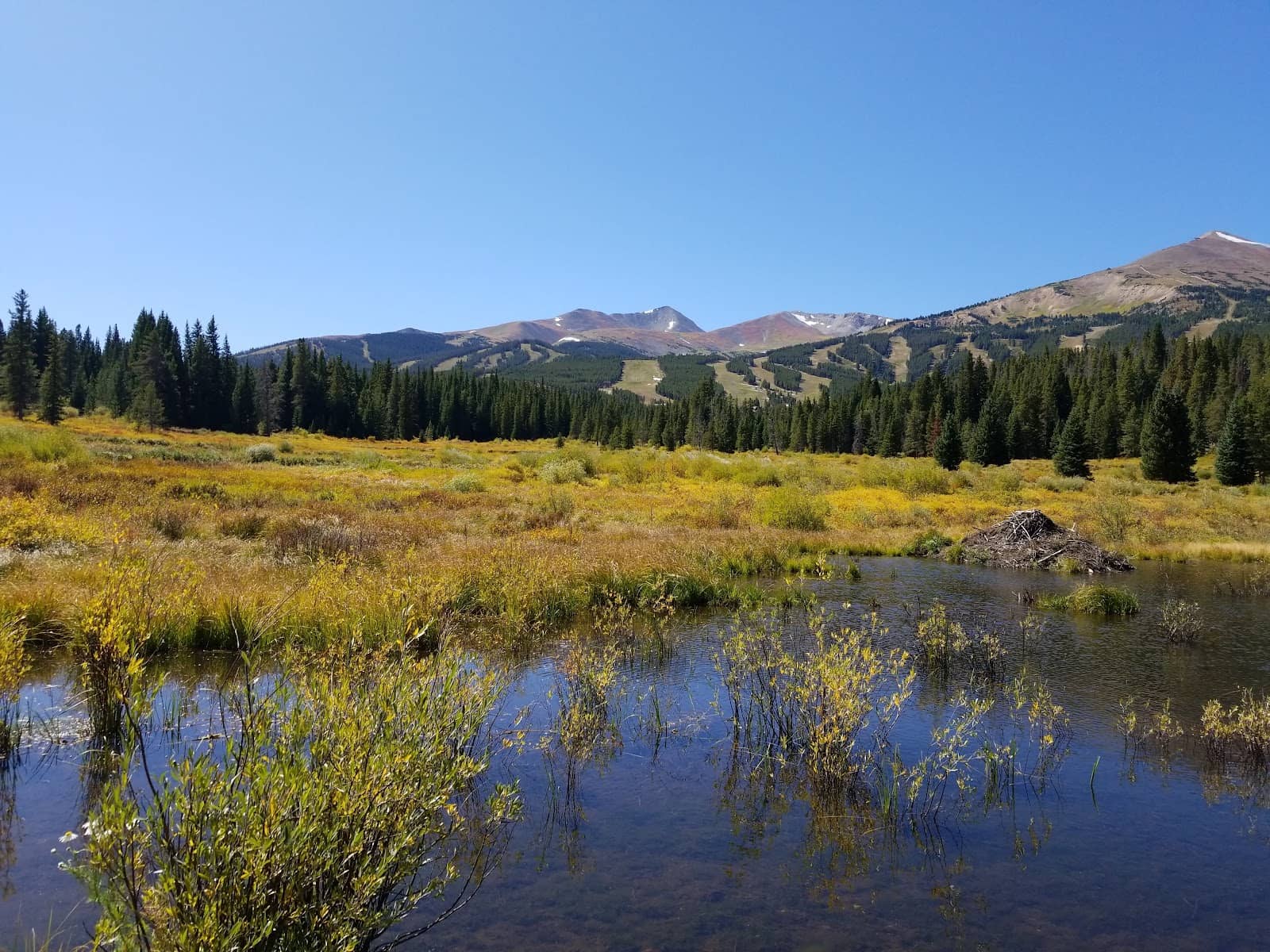 BreckConnect Gondola Ride