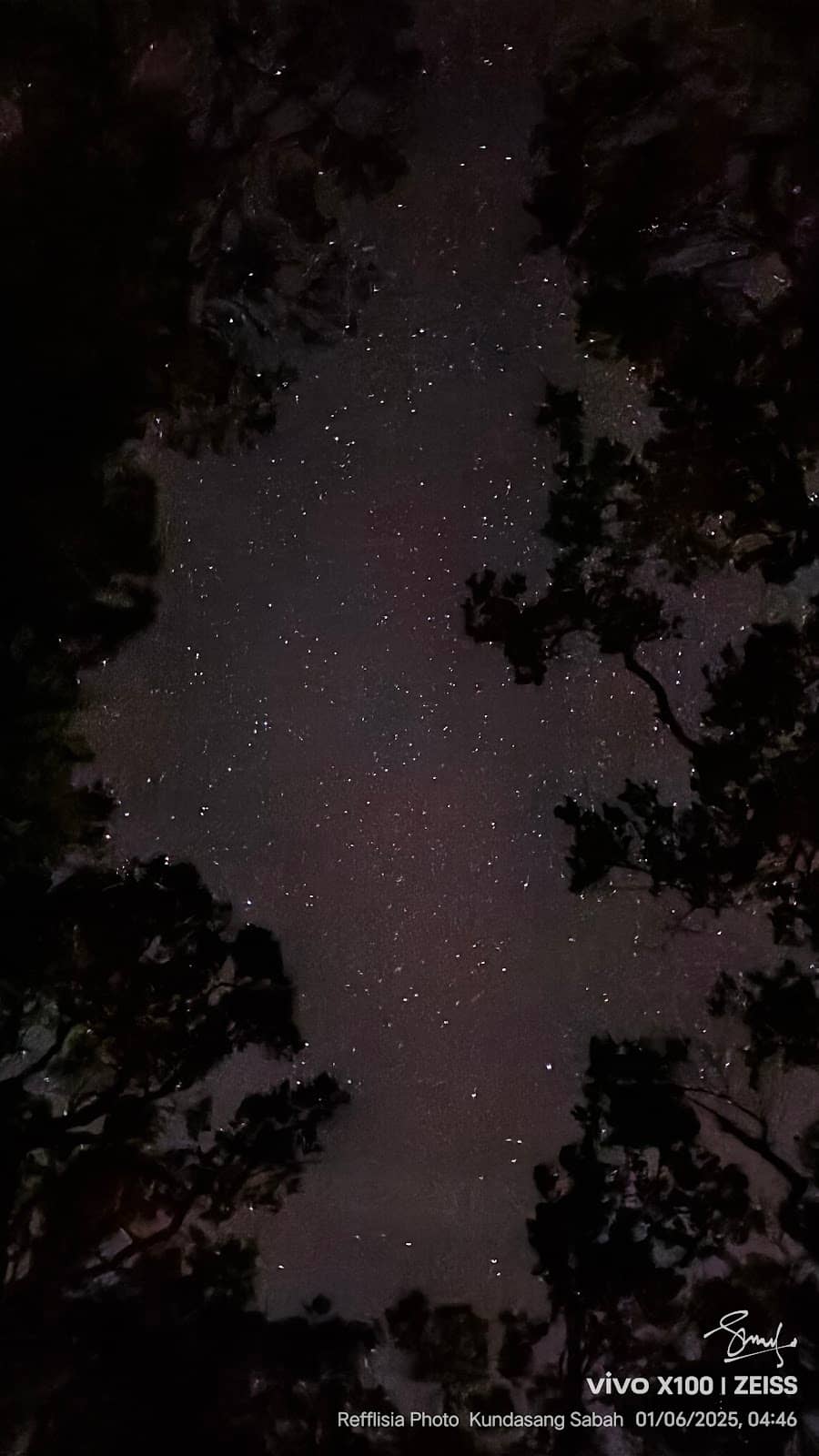 Beginner-Friendly Hike