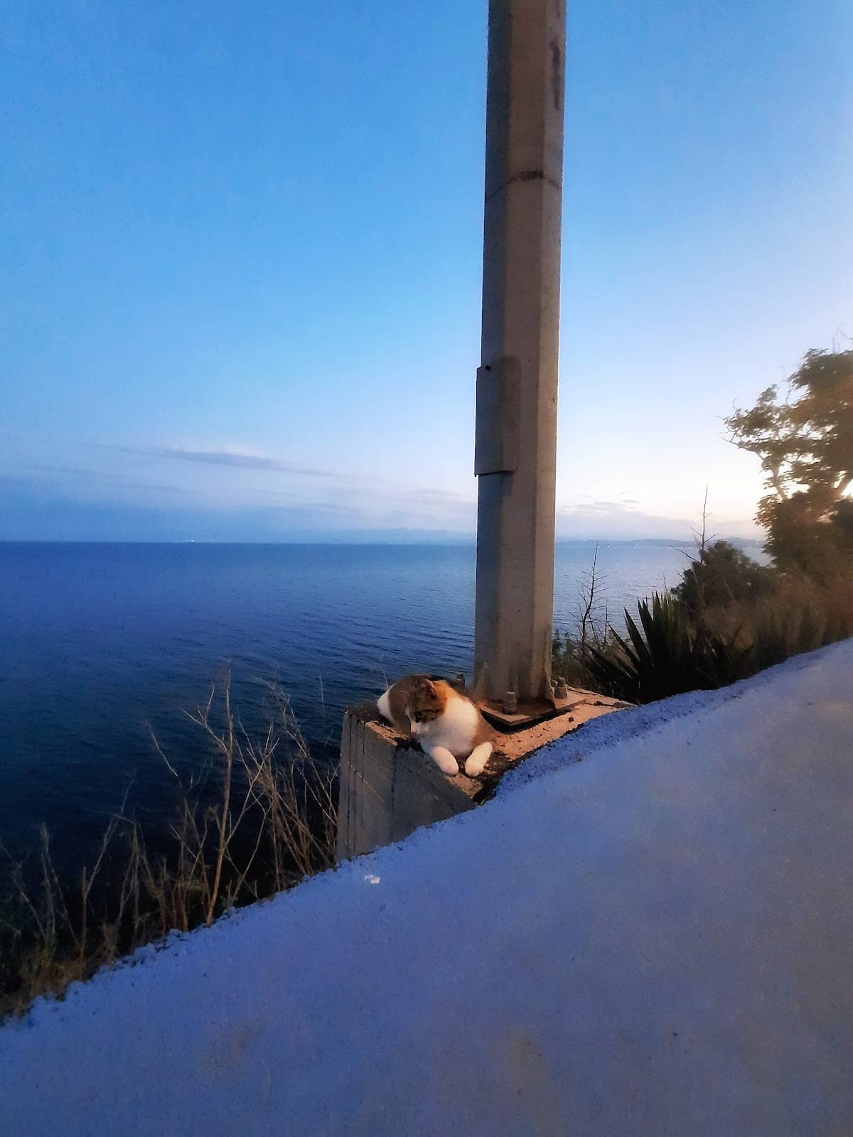 Vertical photo