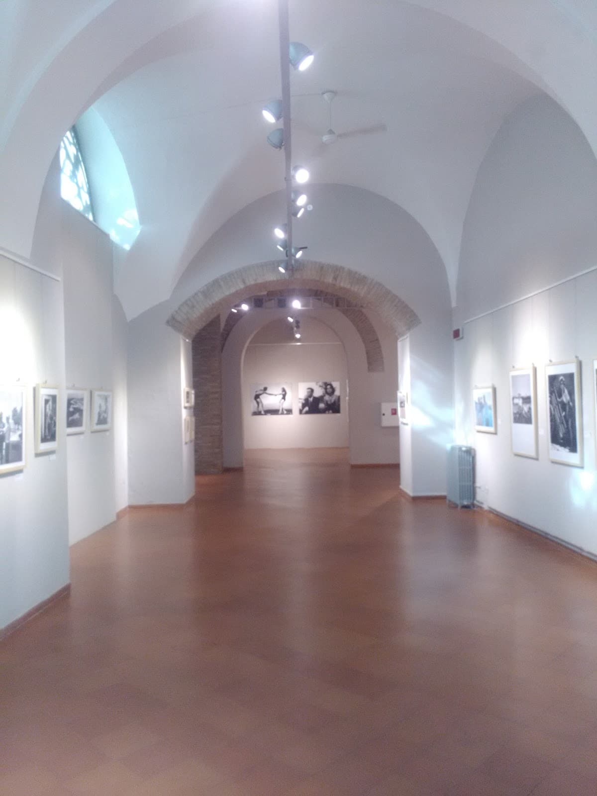 Pescheria Gallery - Image 1