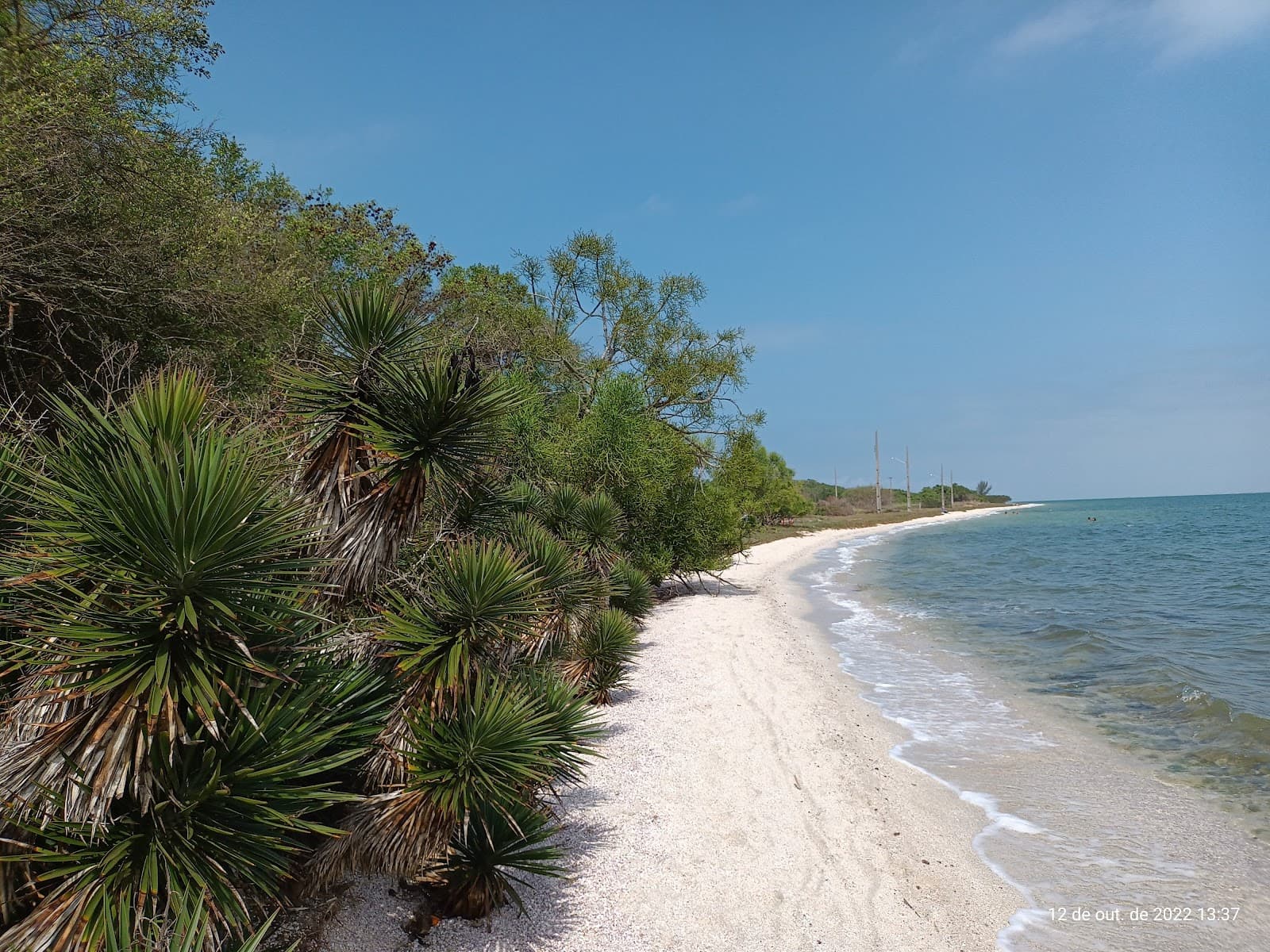 Iguaba Grande (day trip) - Image 1