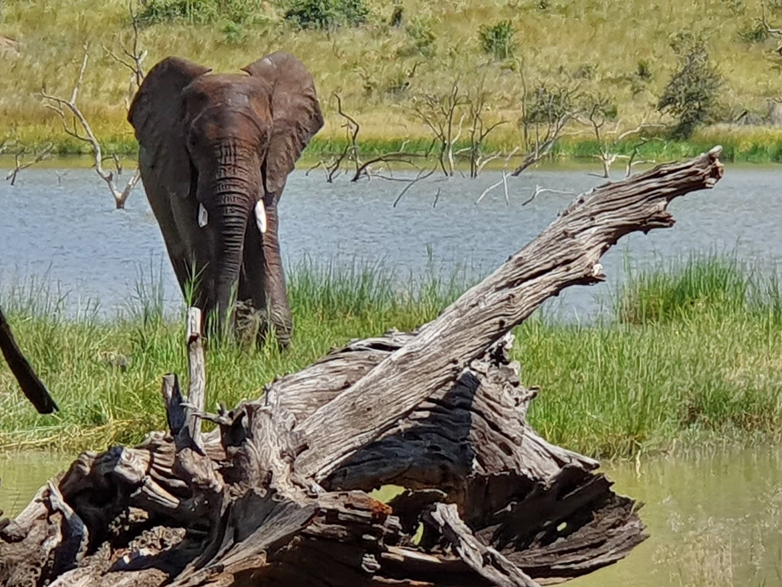 Malatse Dam Hide - Image 1