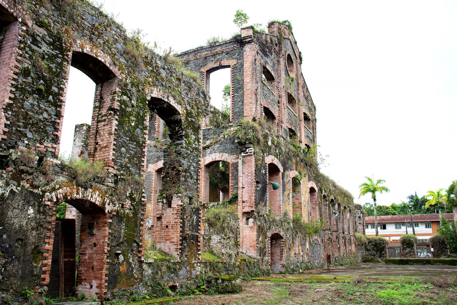 Bracuhy Sugar Mill Ruins - Image 1