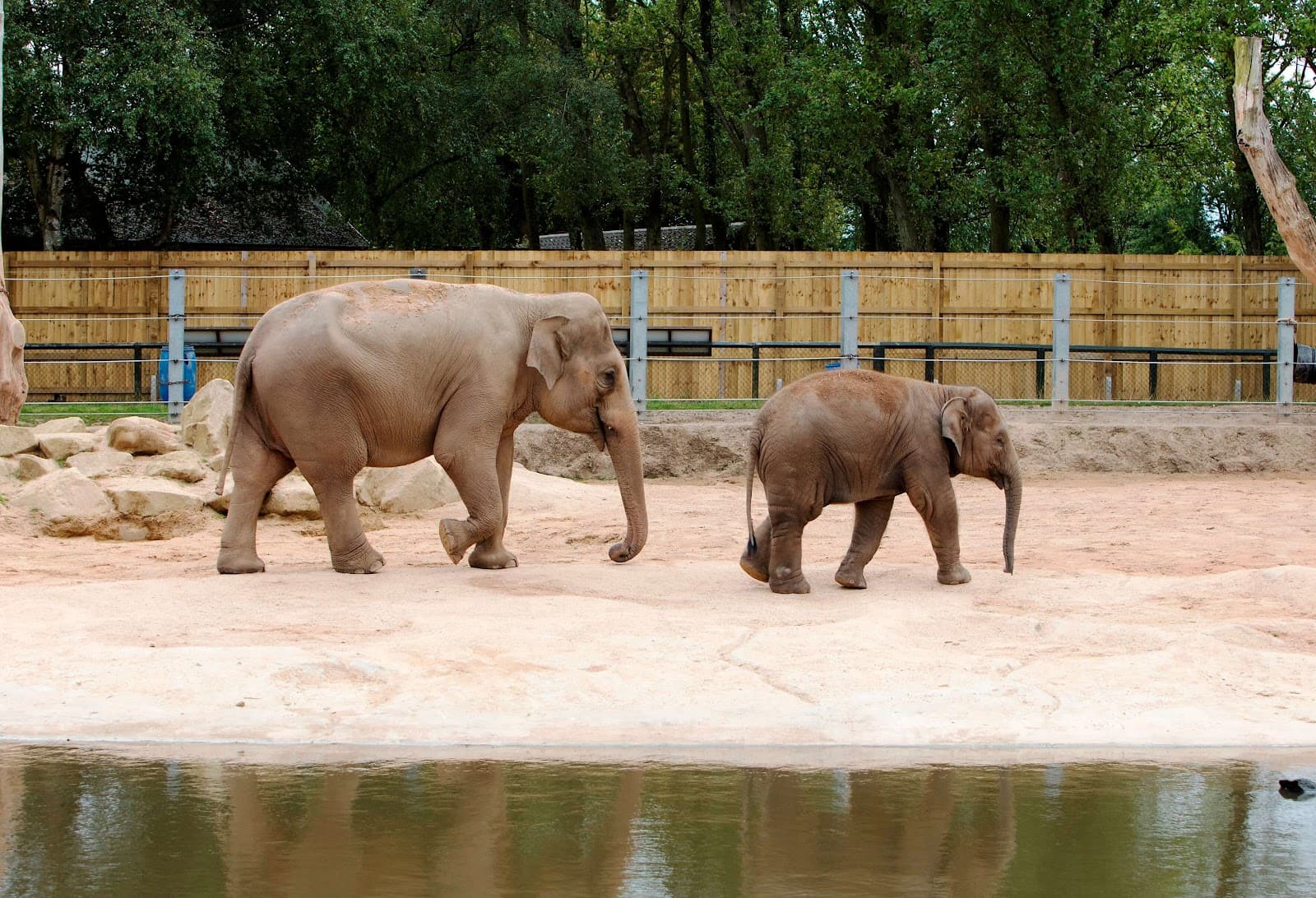 Twycross Zoo - Image 1
