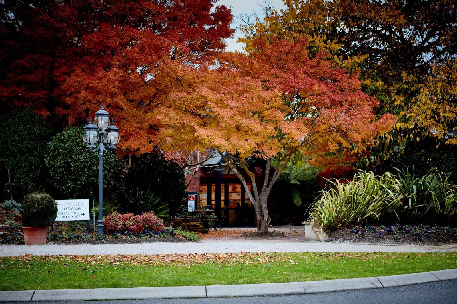 De Bortoli Yarra Valley Estate - Image 1