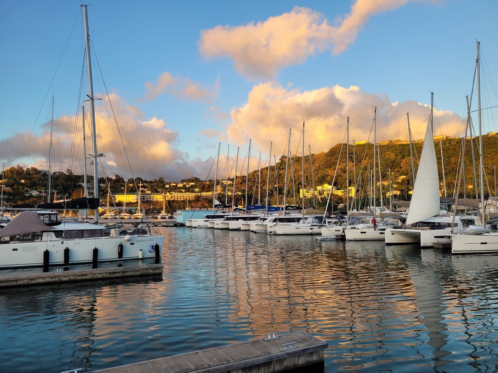 Prickly Bay Marina - Image 1