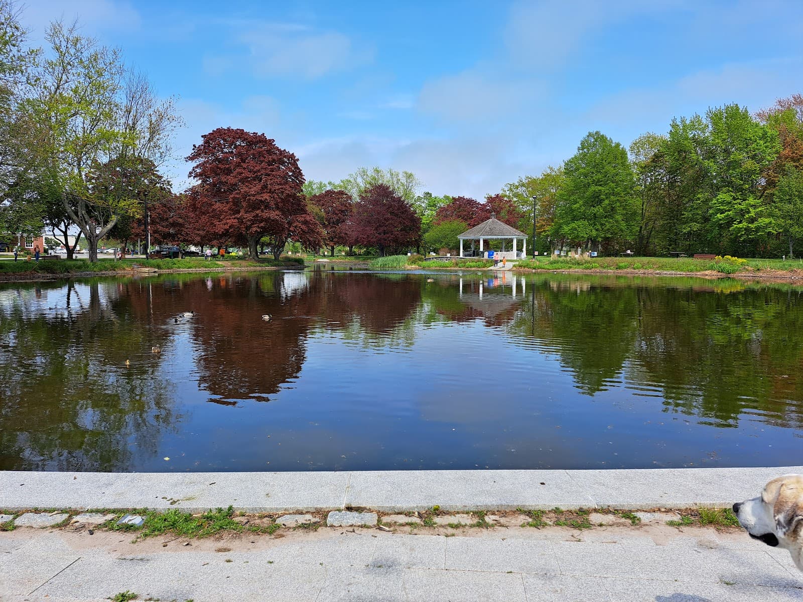 Mill Creek Park - Image 1