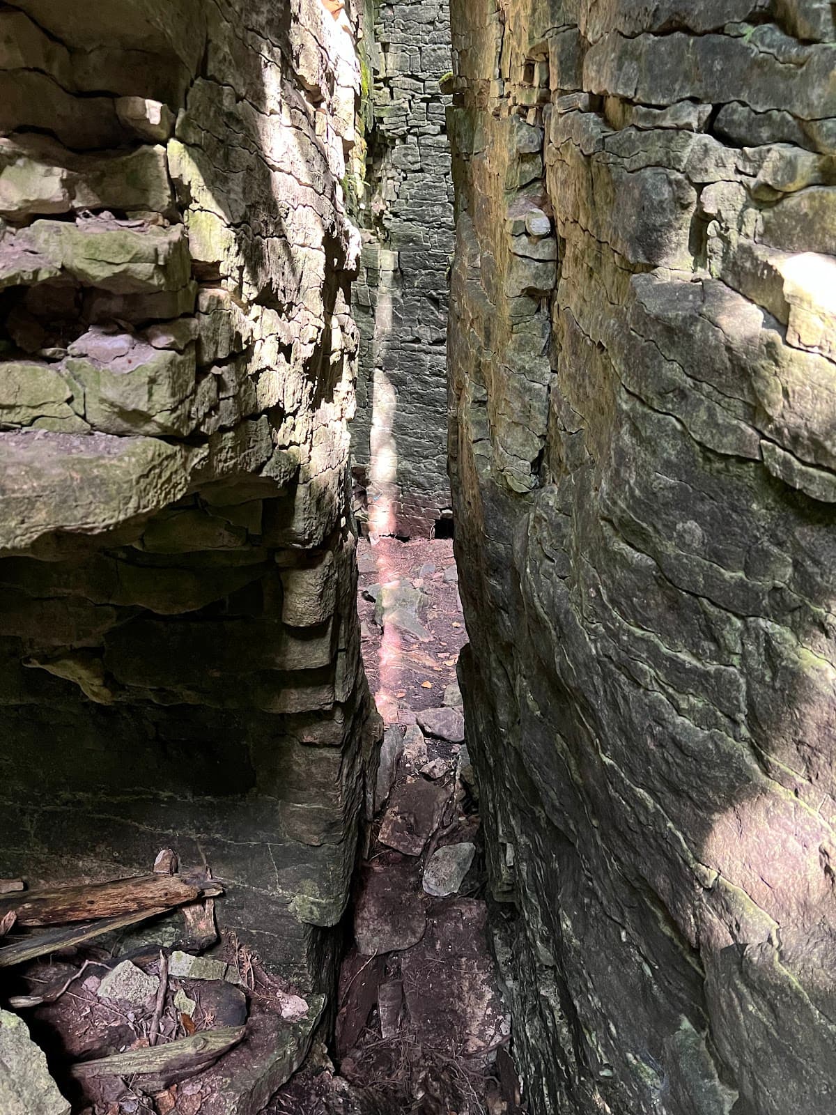Bruce Trail (Sydenham Section) - Image 1