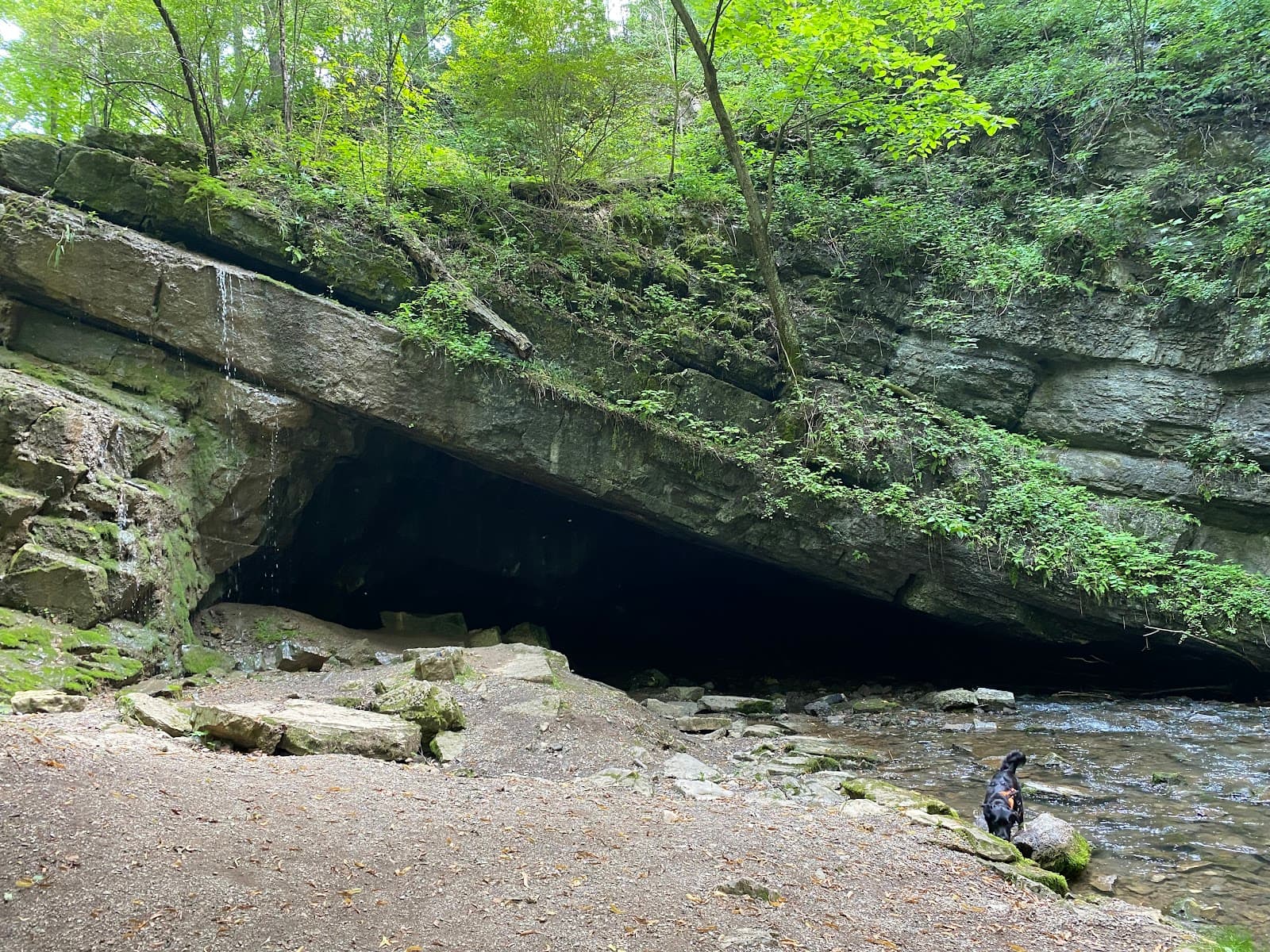 Tytoona Cave Nature Preserve - Image 1