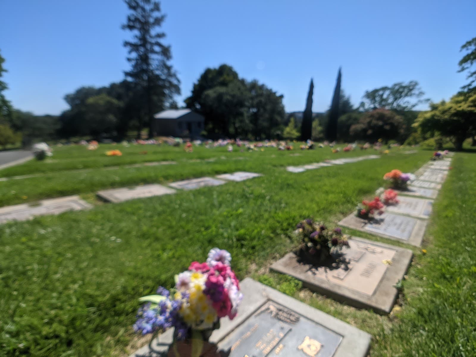 Tulocay Cemetery Napa - Image 1