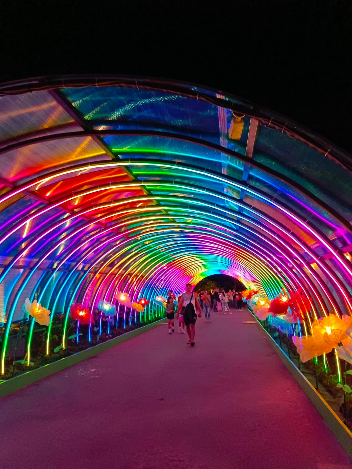 Kids Park and Pet Park