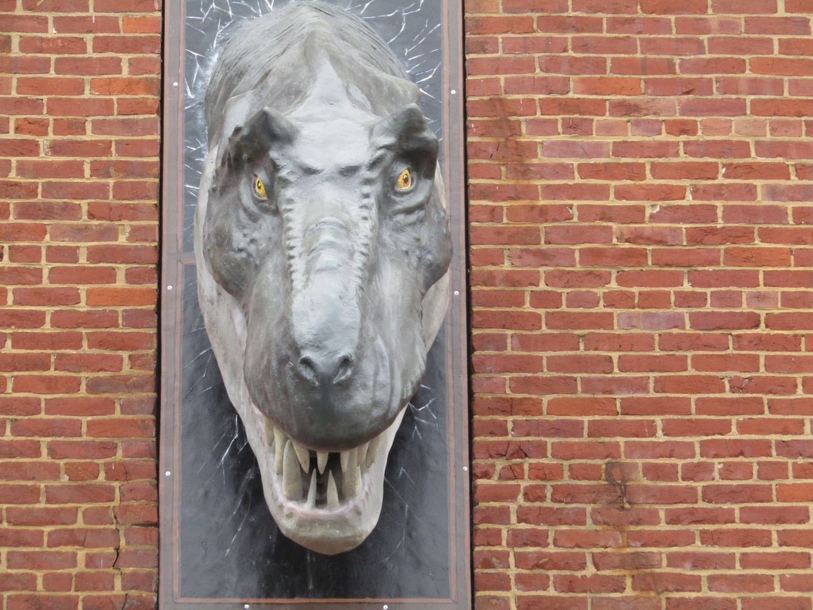 Science Collectibles & Books