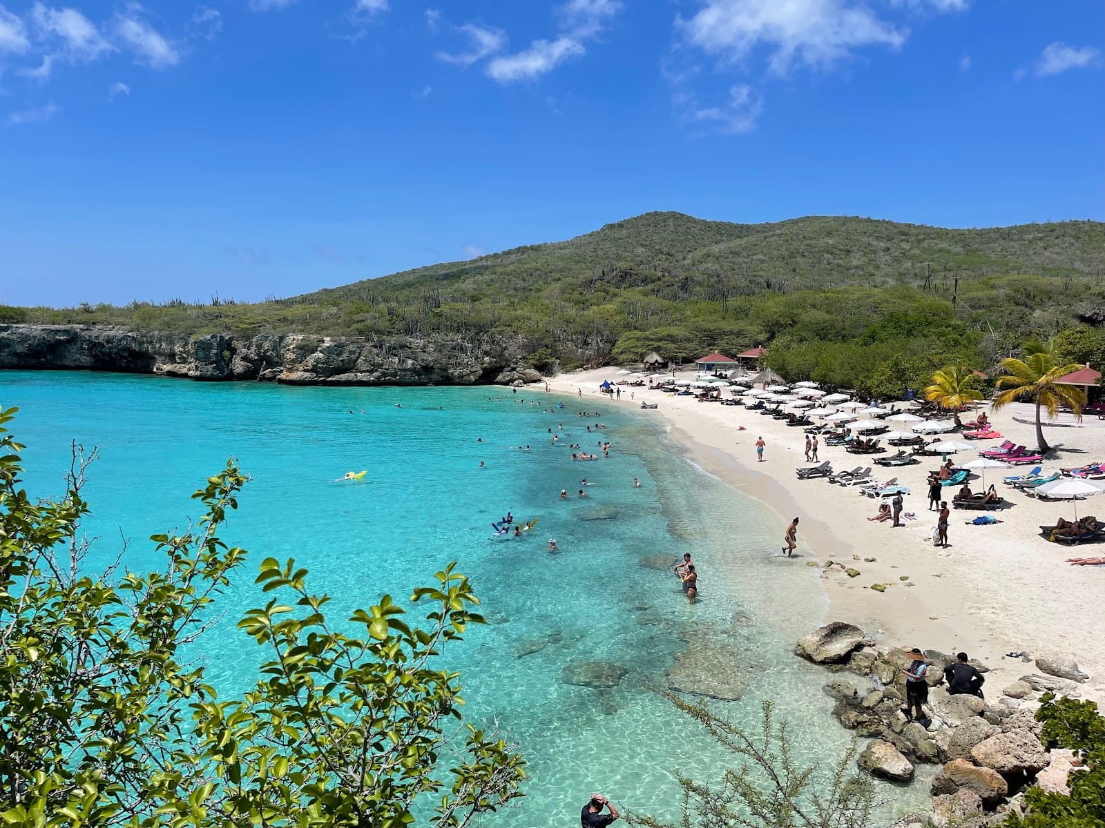 Kleine Knip Curaçao - Image 1