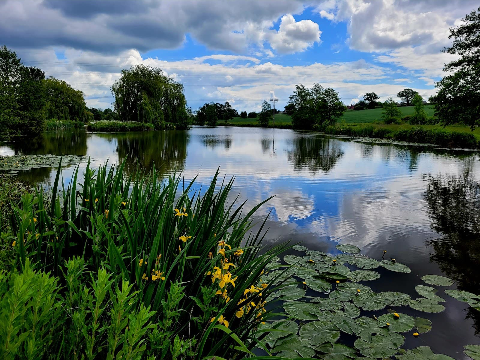 Greasbrough Dam - Image 1