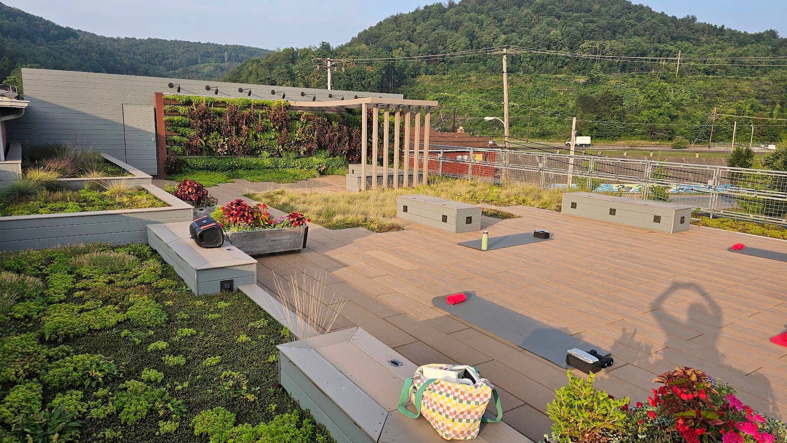 Rooftop Garden Views