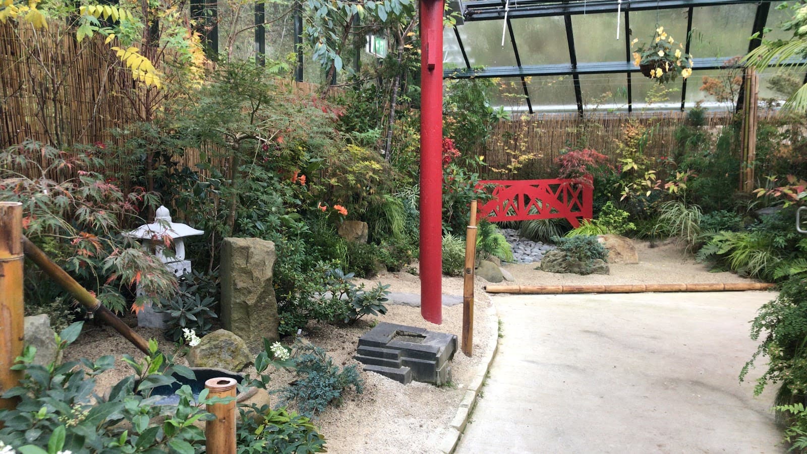 Pukekura Park Fernery and Display Houses - Image 1