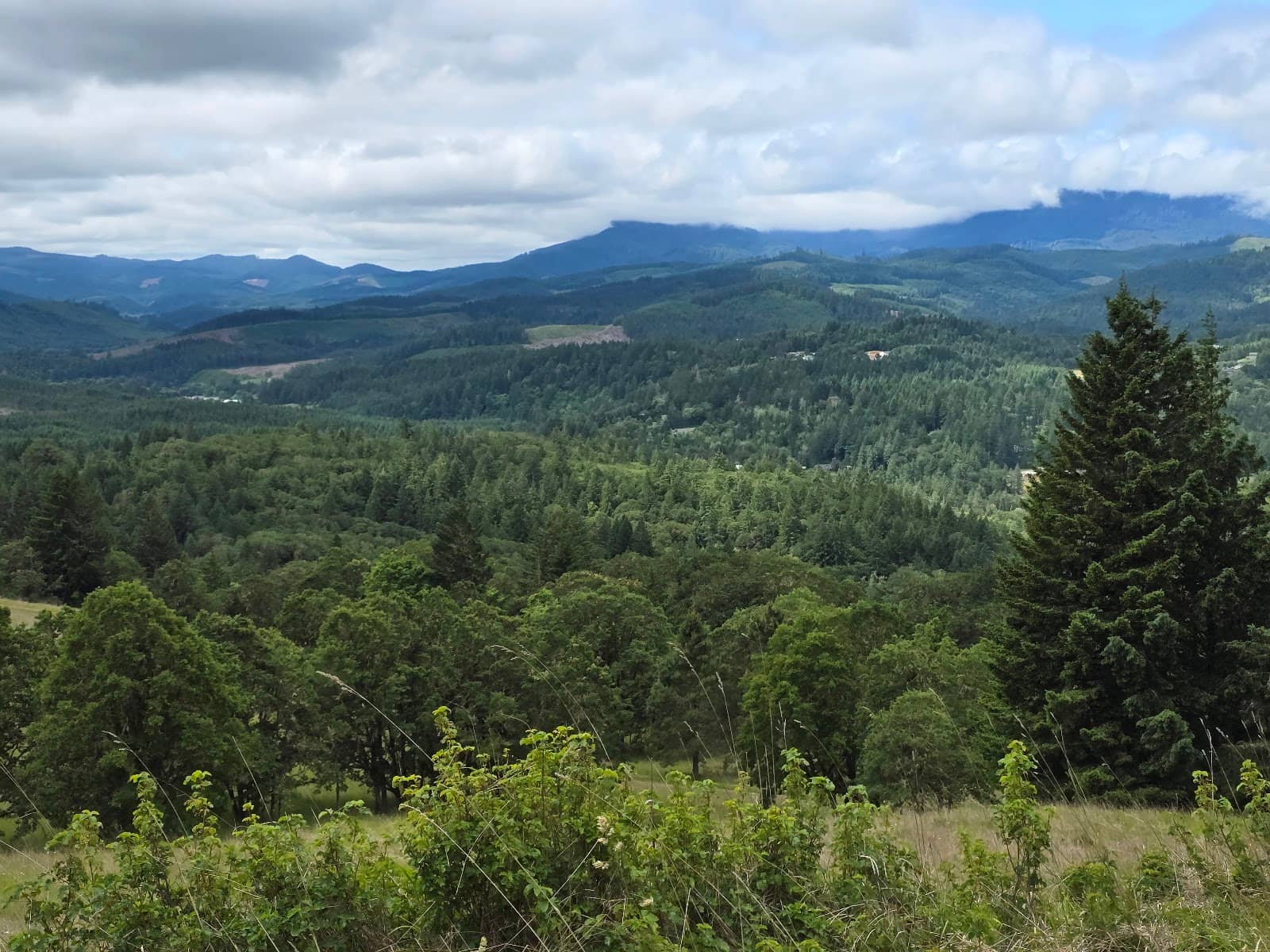 Marys River Railroad Trestle