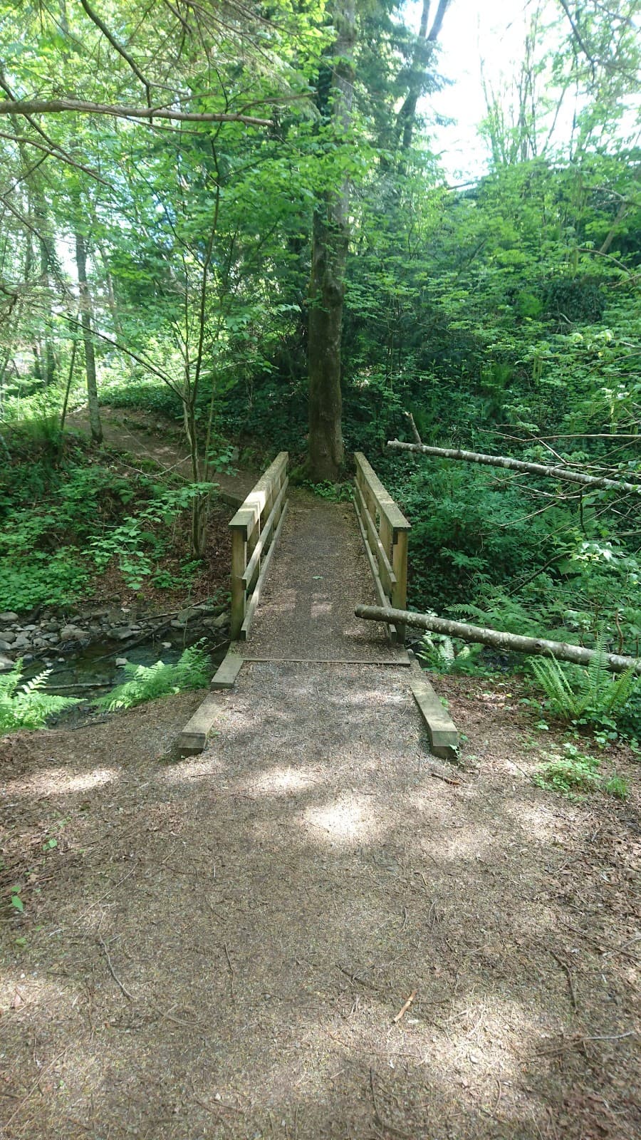 McKee Peak Viewpoint - Image 1