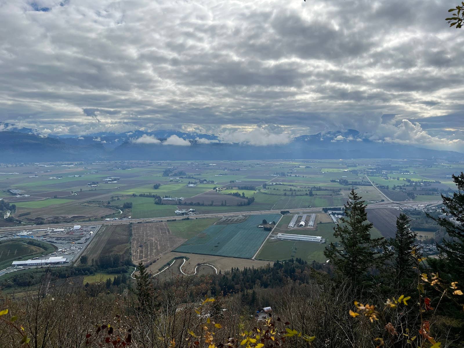 Vertical photo