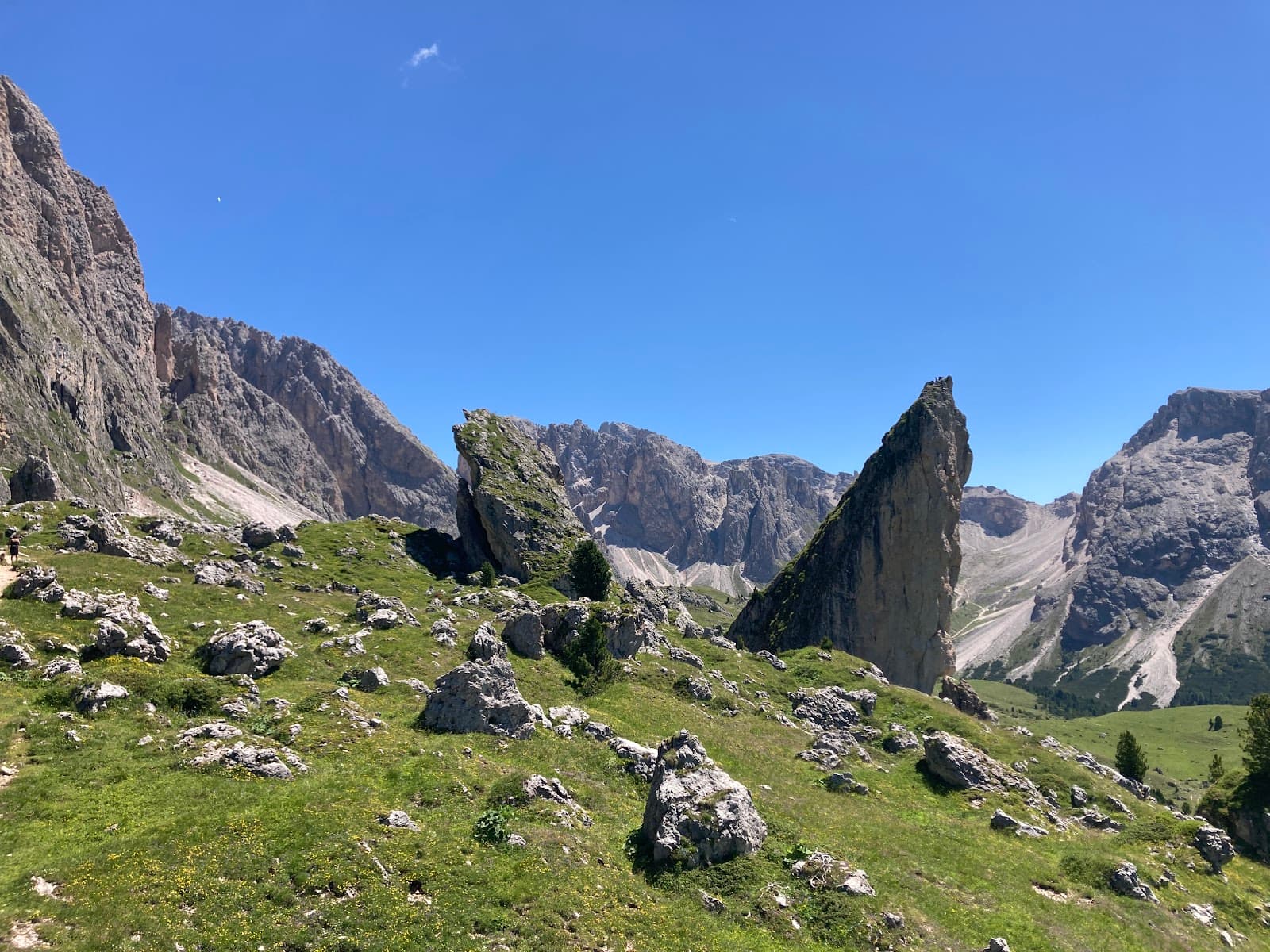 Pieralongia - Image 1