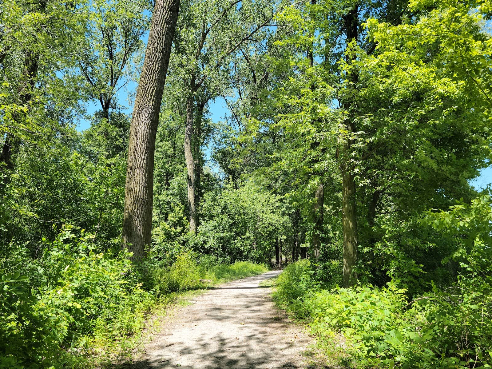 Urban Green Space