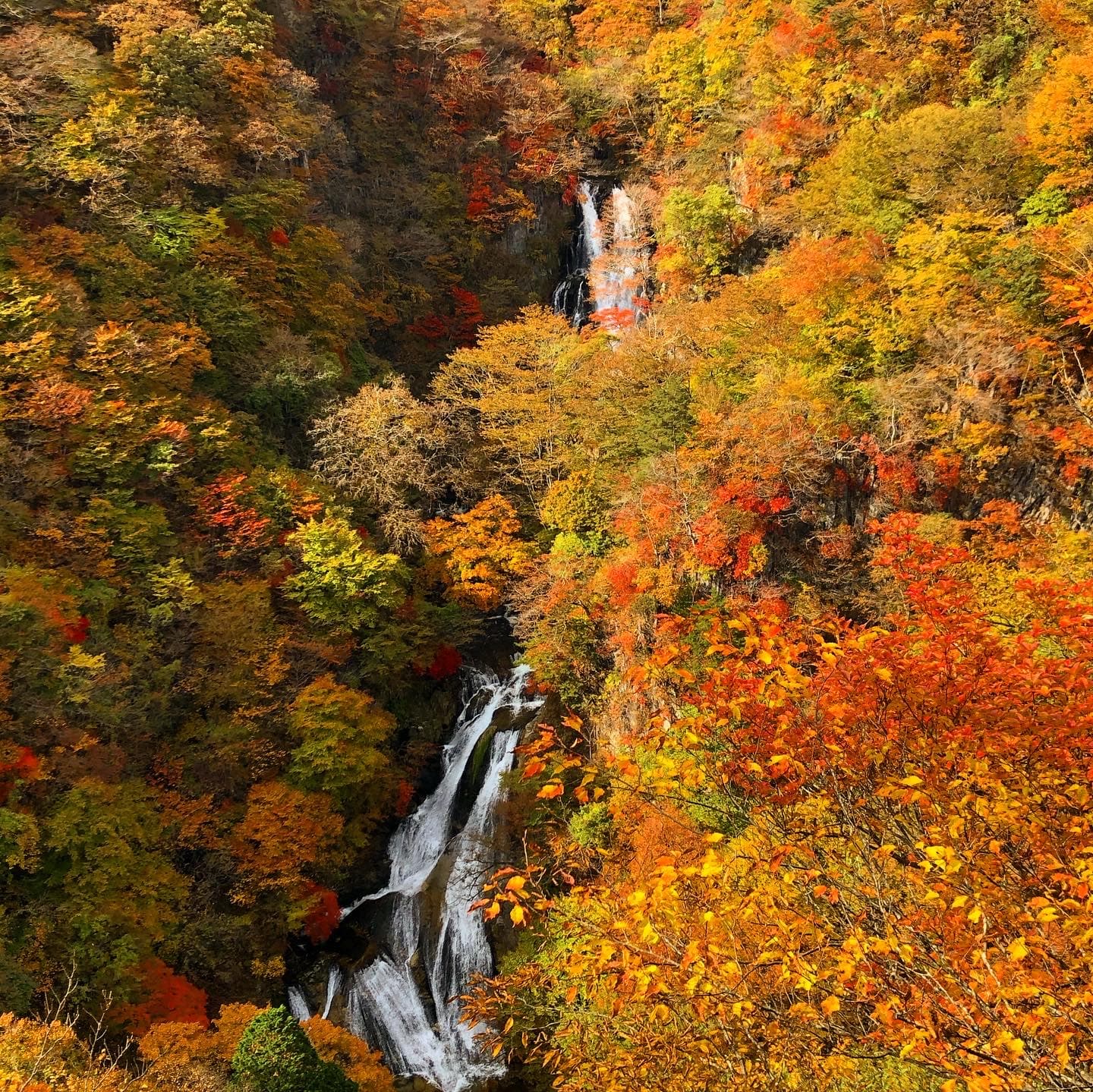 Kirifuri Falls - Image 1