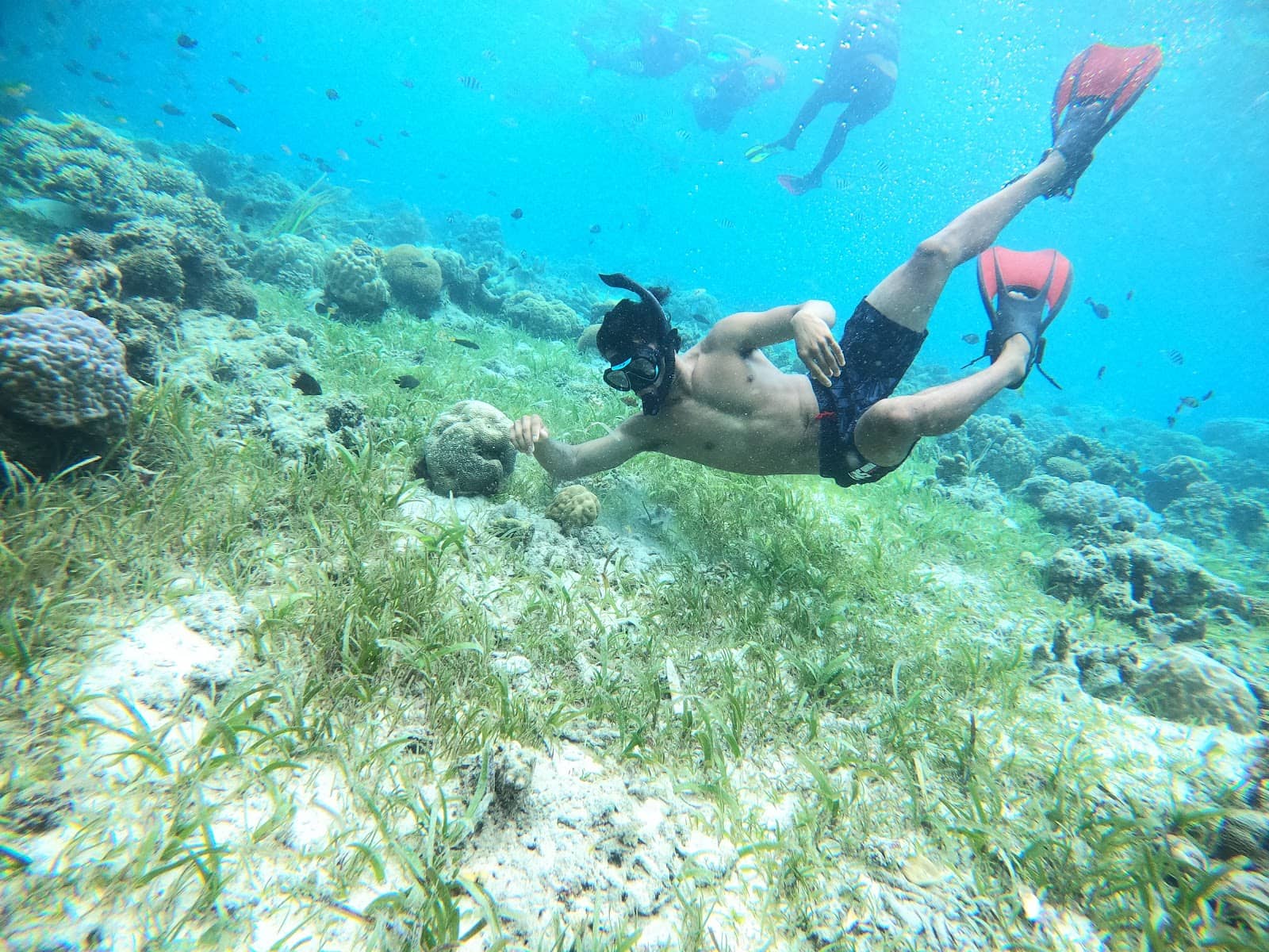 Mundo Island
