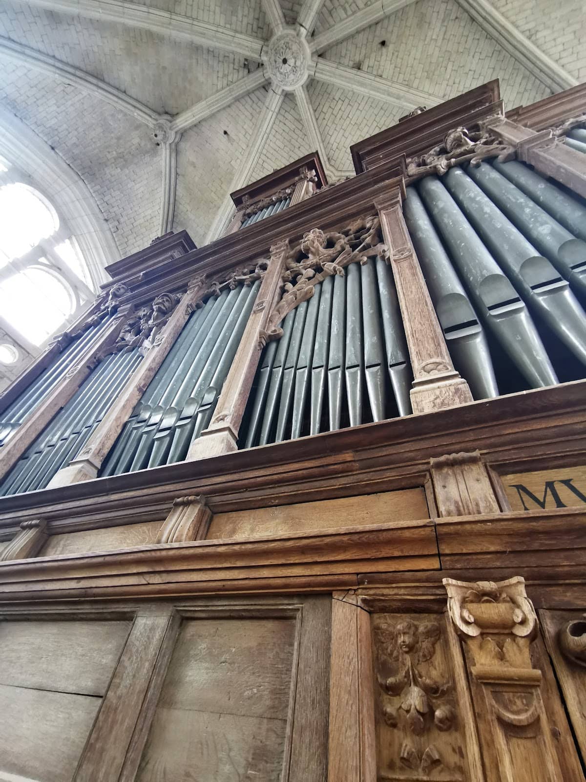 Vertical photo
