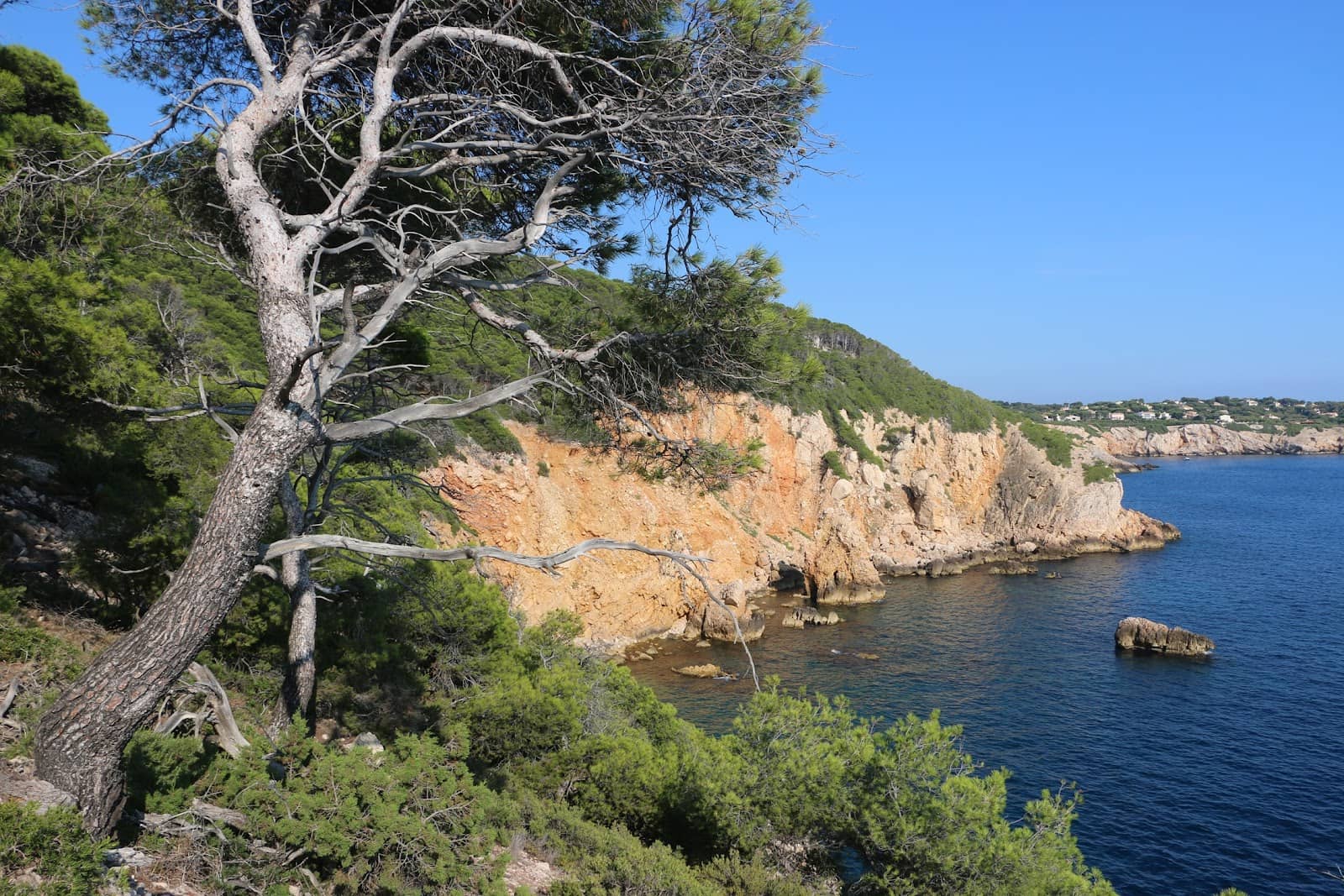 Wild and Untouched Nature