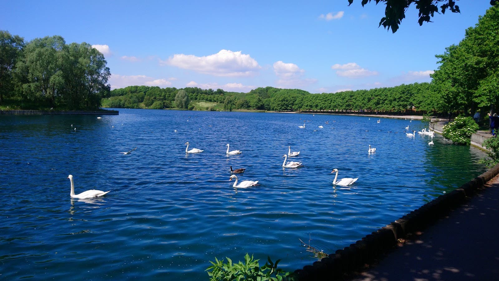 Lakeside Lake and Sculpture Trail - Image 1