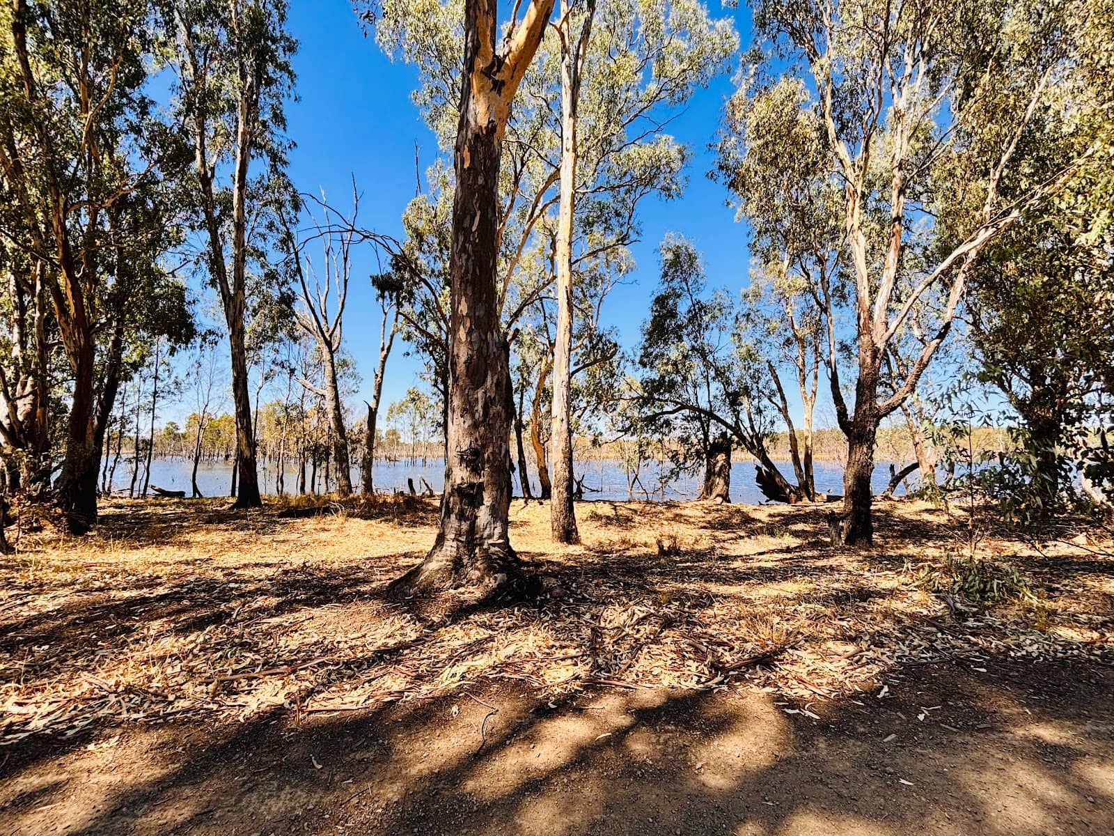 Secluded Campsites