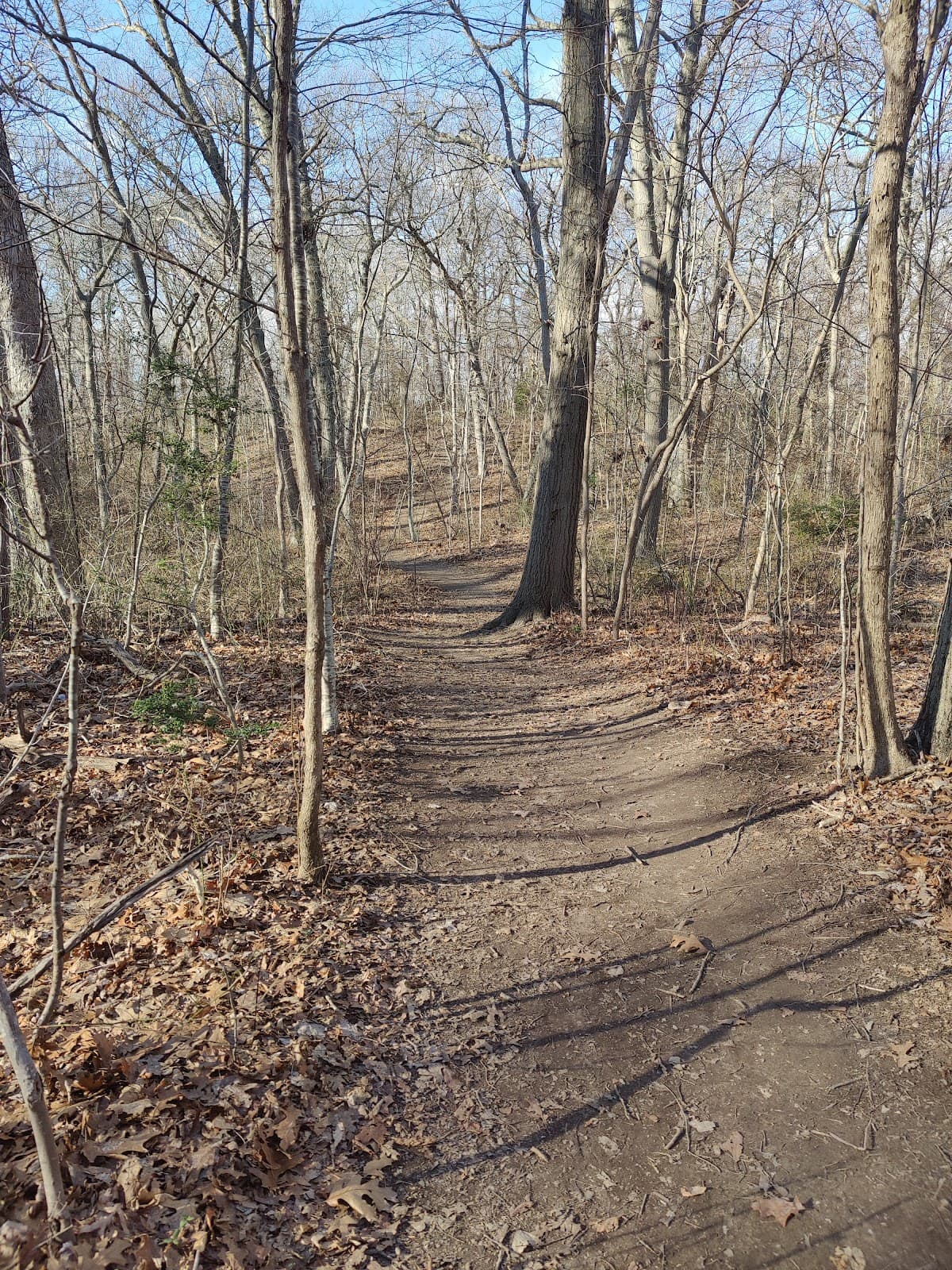 Cordwood Landing County Park - Image 1