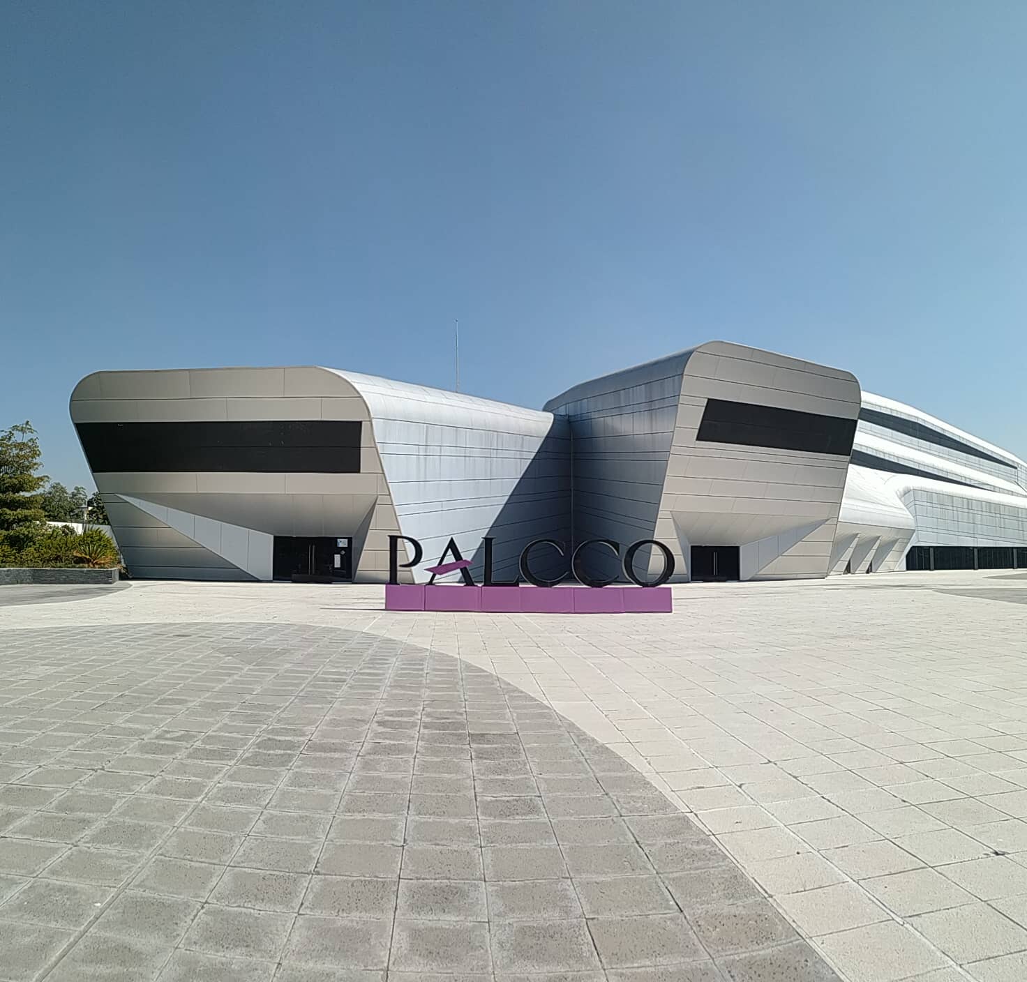 The Museum Experience