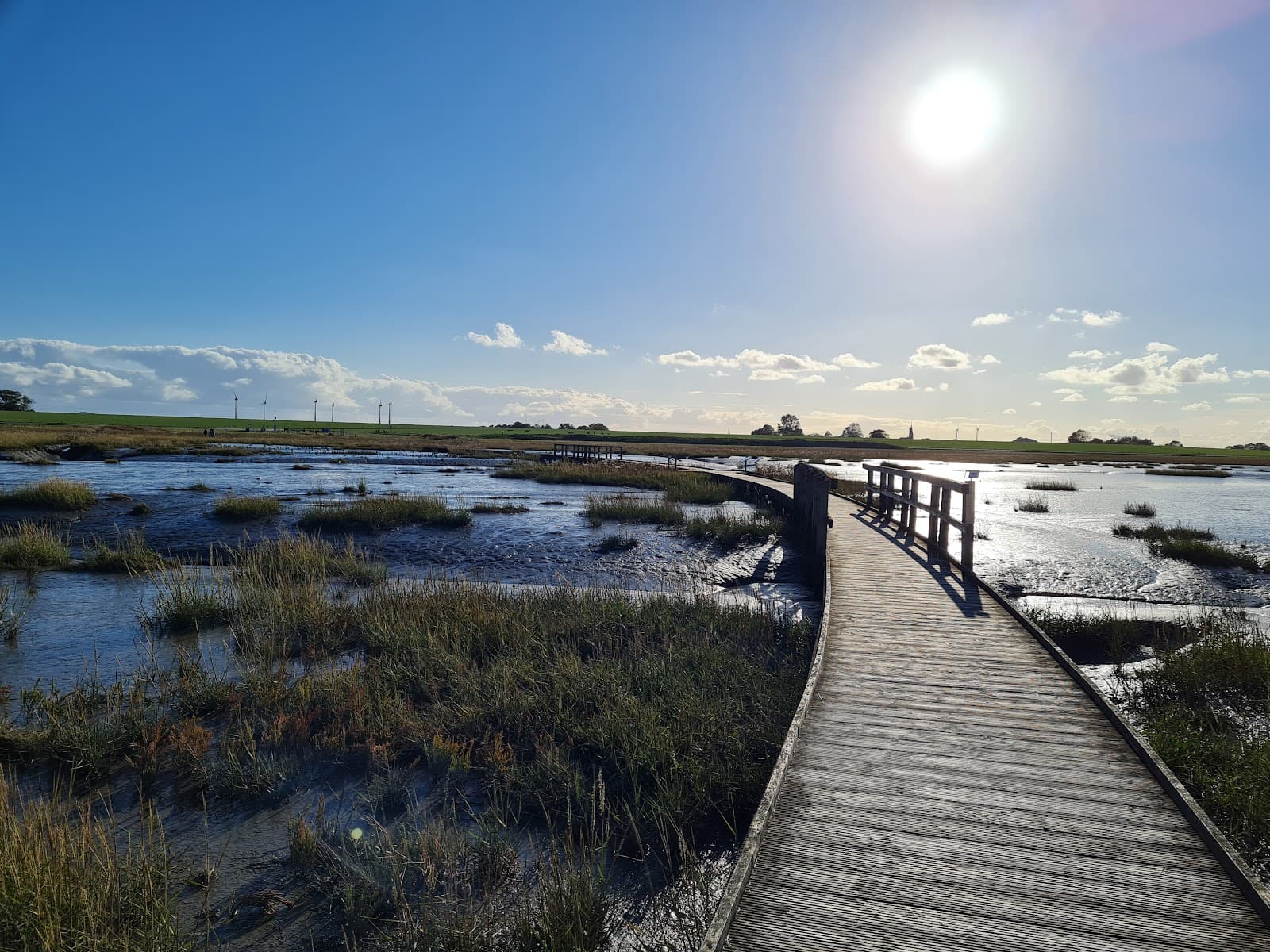Wadden Sea Mudflat Hiking - Image 1