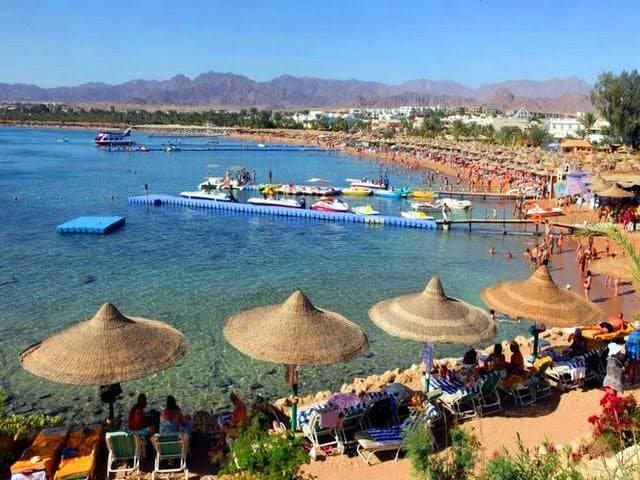 Nabq Bay - Image 1