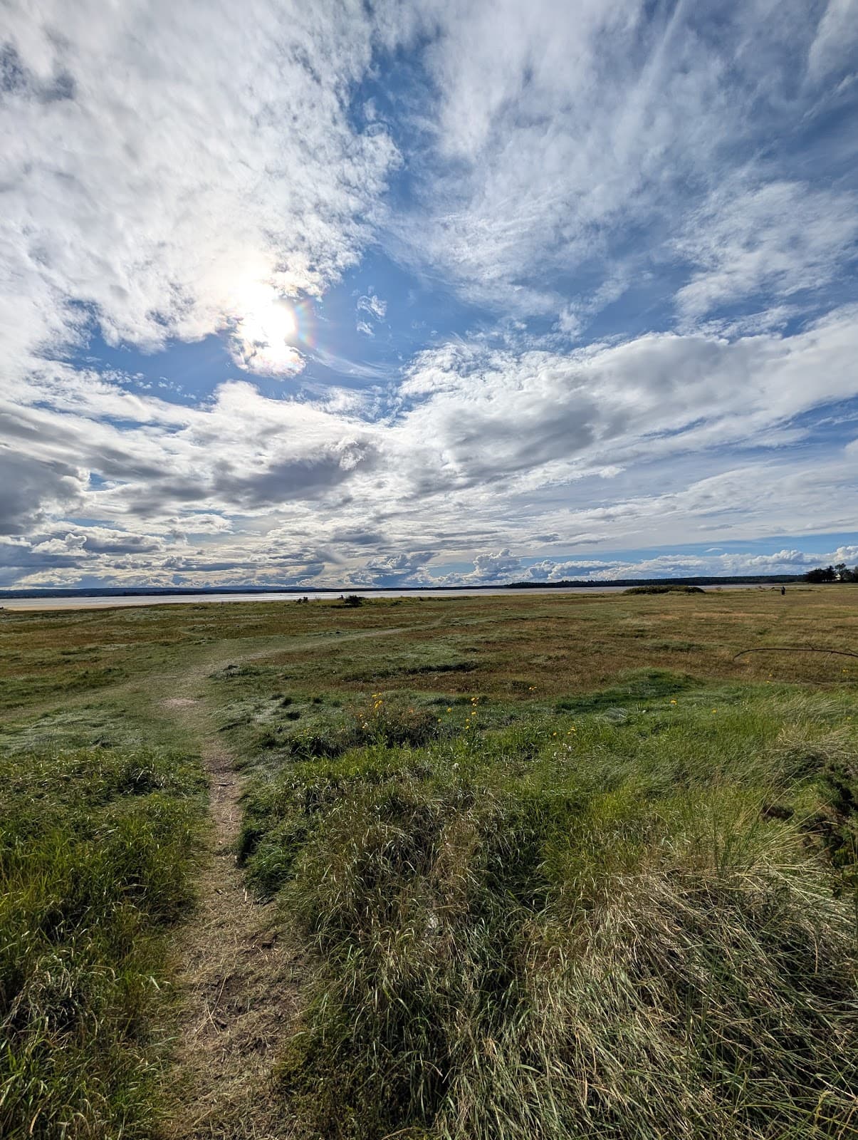 Findhorn Bay Nature Reserve - Image 1