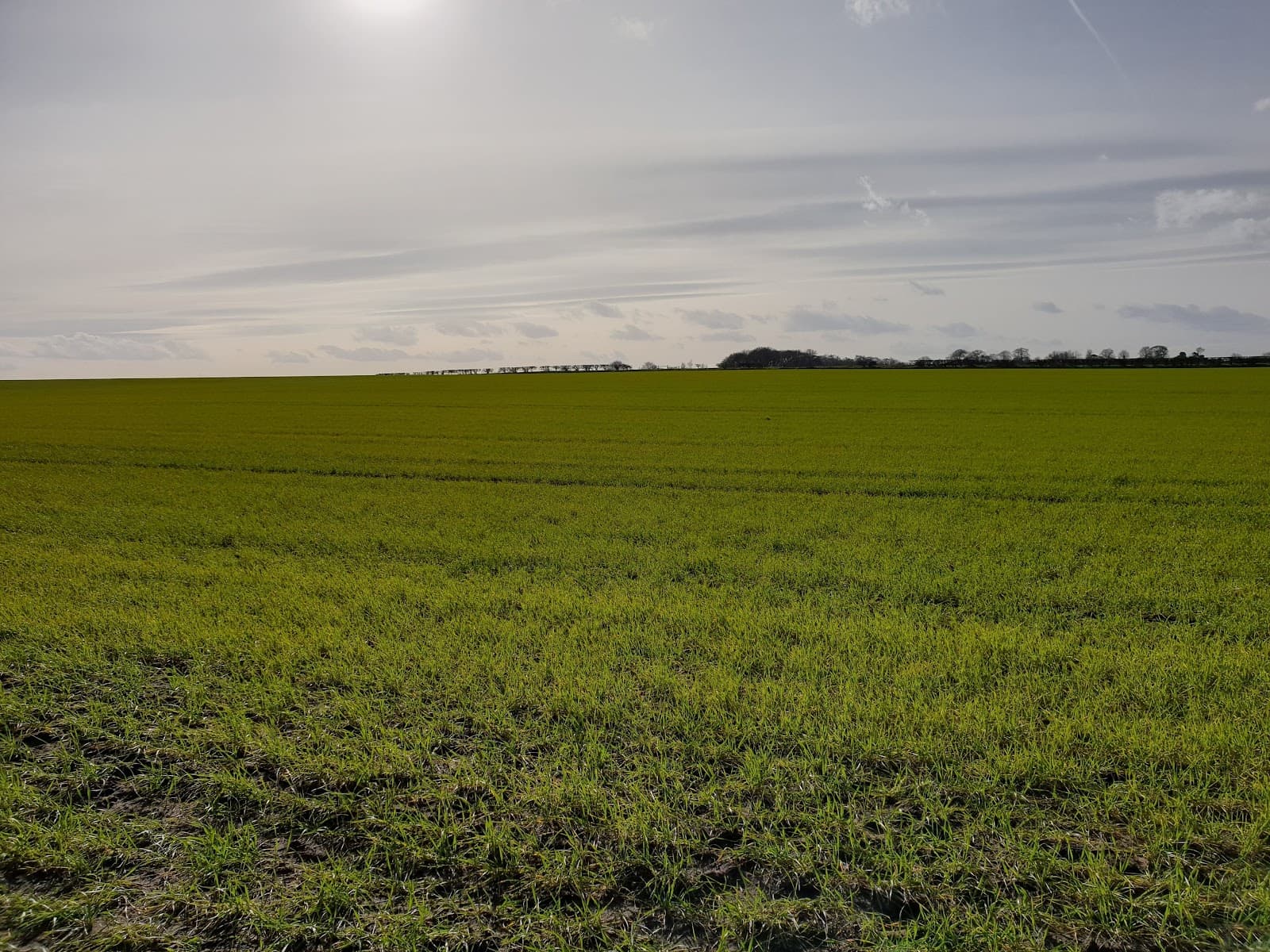 Kilton Forest - Image 1