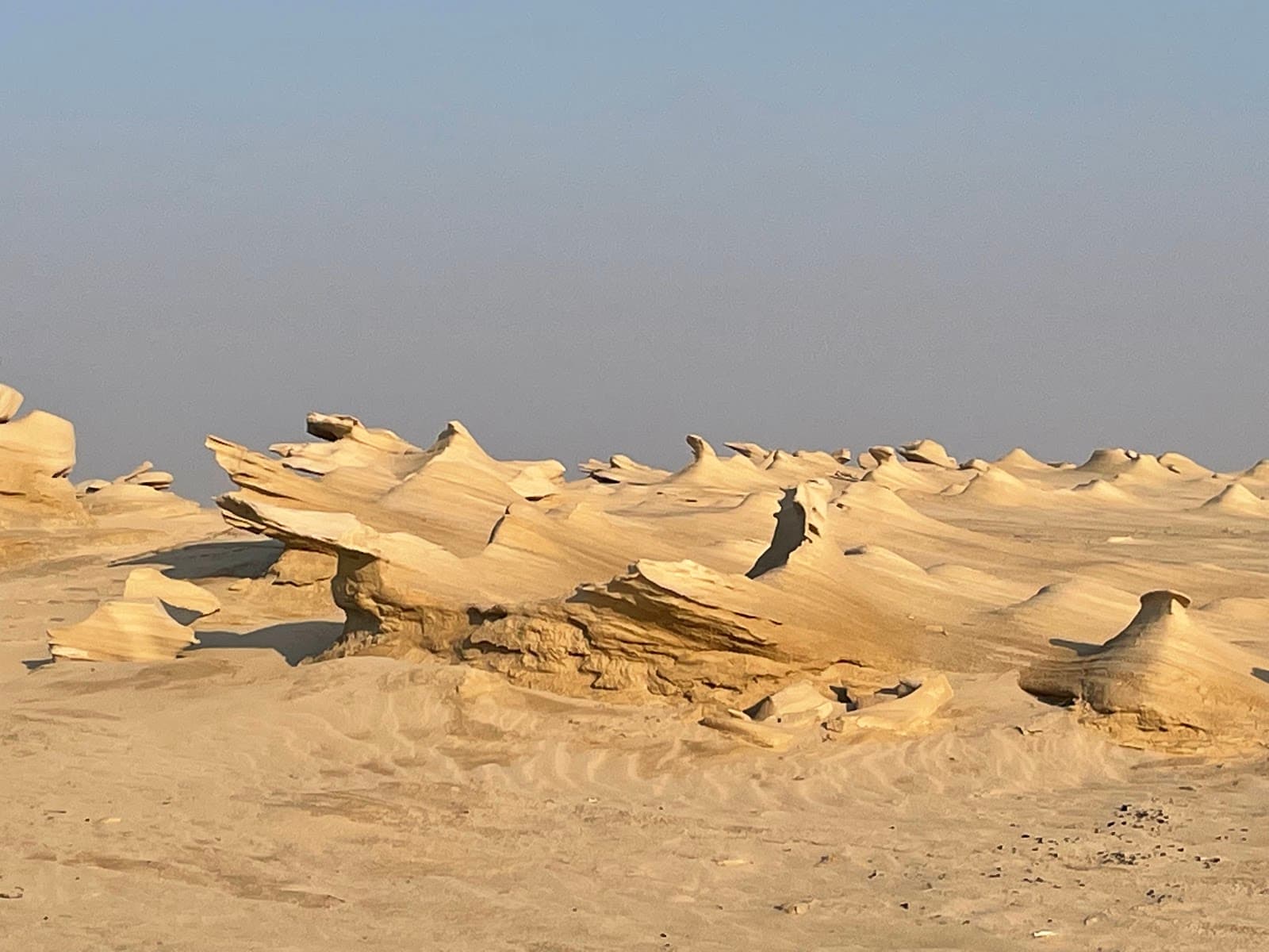 Al Wathba Fossil Dunes Reserve - Image 1