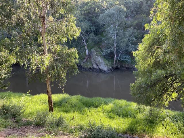 Yarra River Bush Setting
