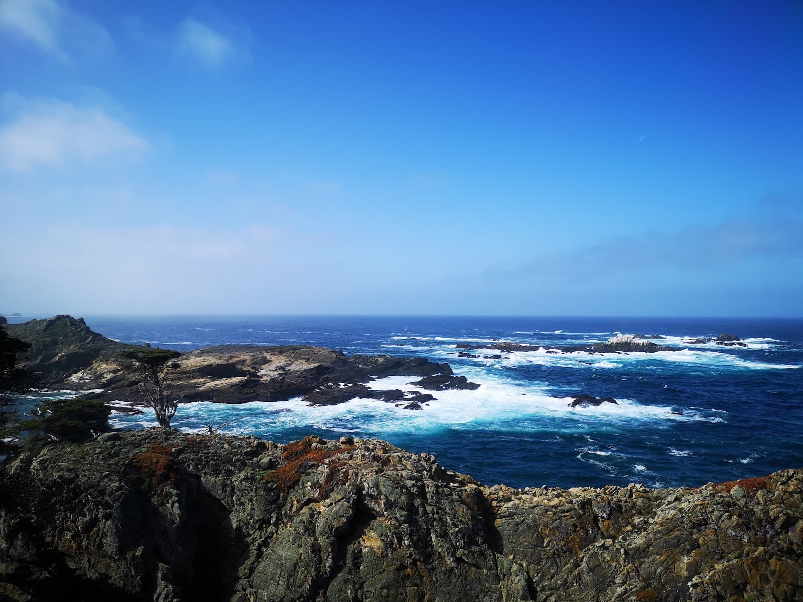 Cypress Grove Trail Point Lobos - Image 1