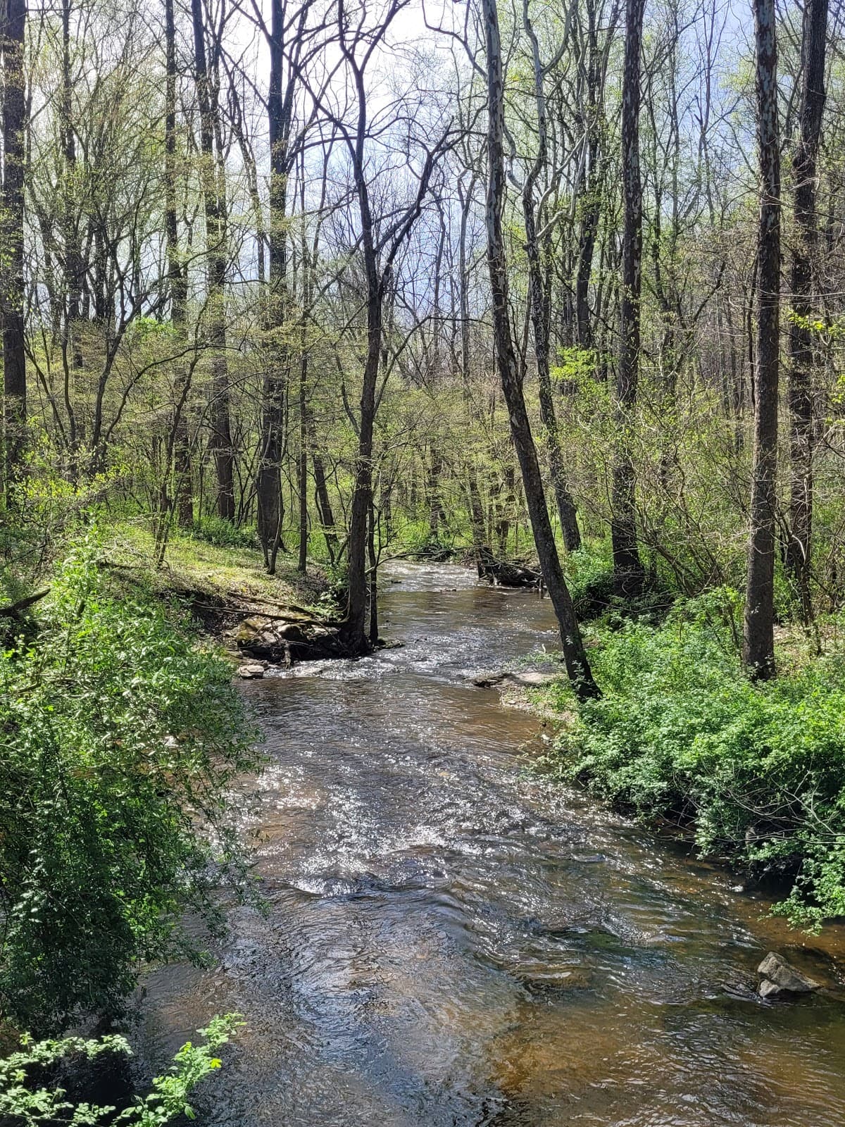 Sweet Run State Park - Image 1