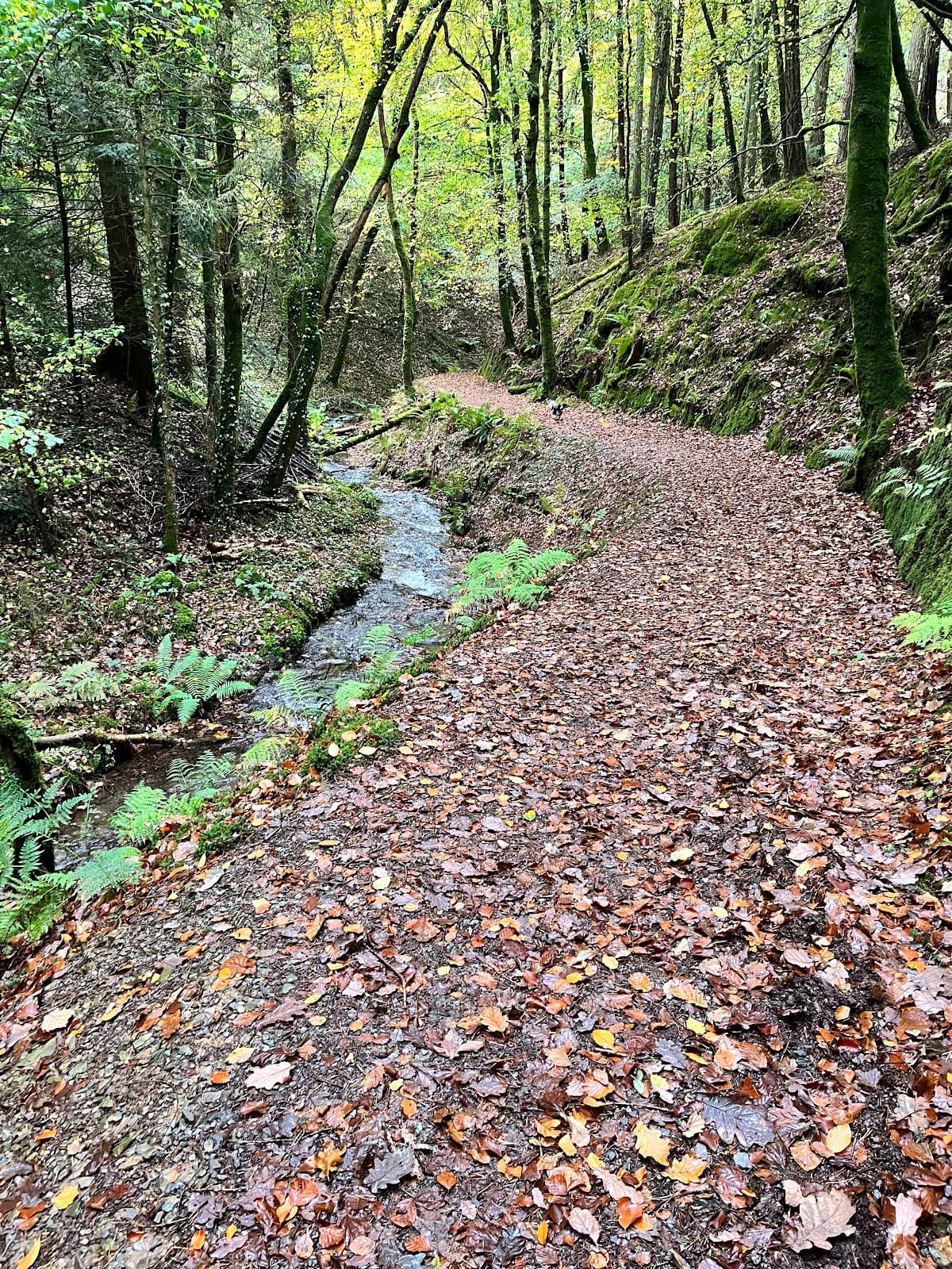 Ystwyth Trail Aberystwyth - Image 1