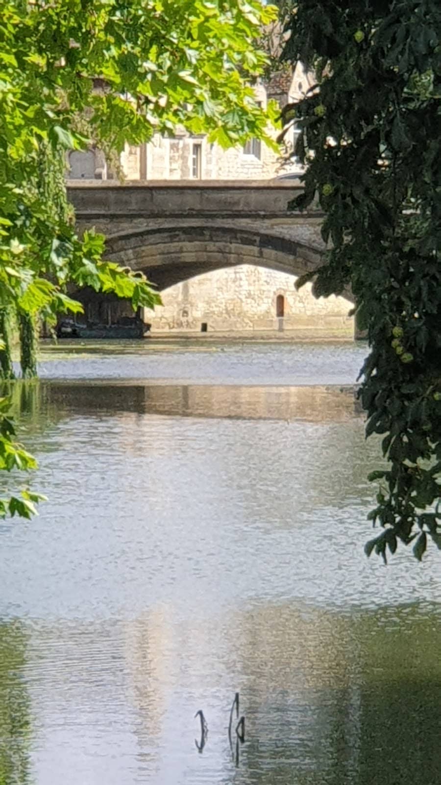 Local Eateries & Cafes