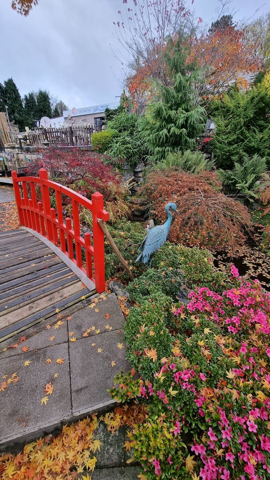 Sutton Coldfield - Image 1