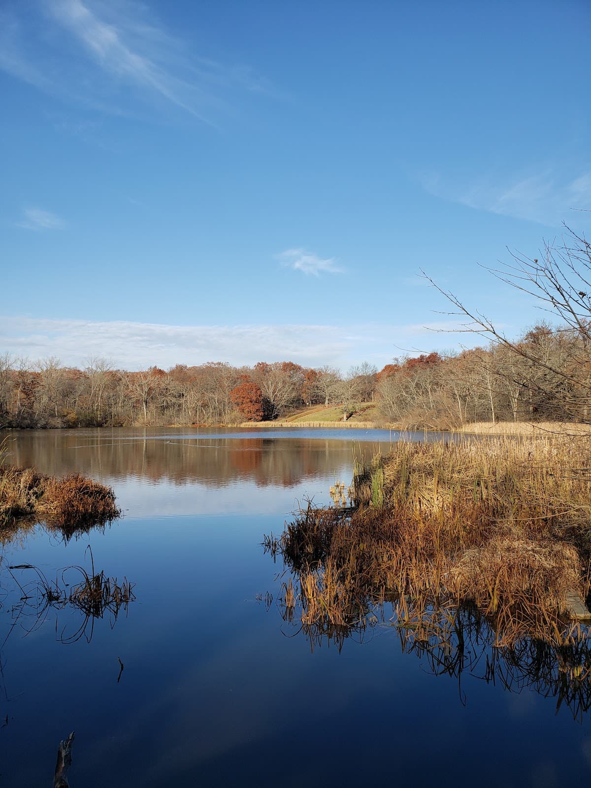 Deer Grove Forest Preserve - Image 1
