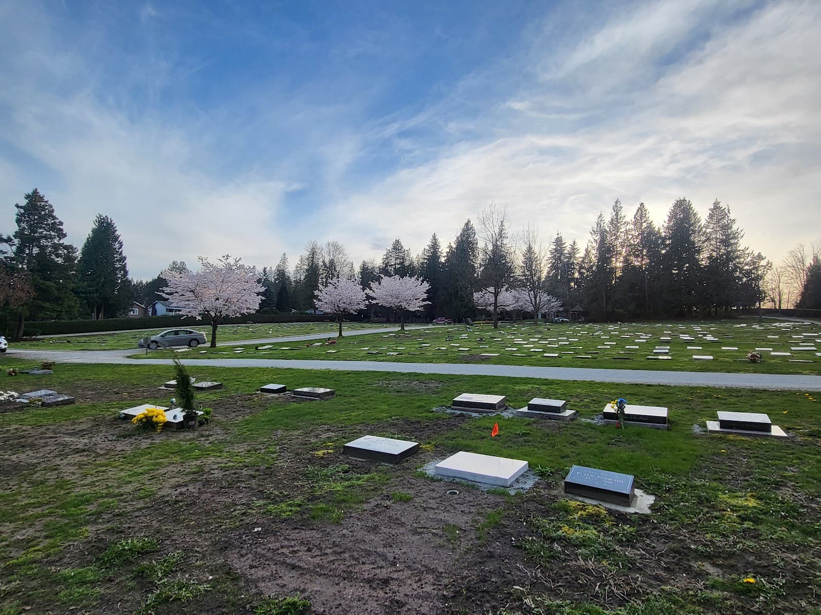 Port Coquitlam Cemetery - Image 1
